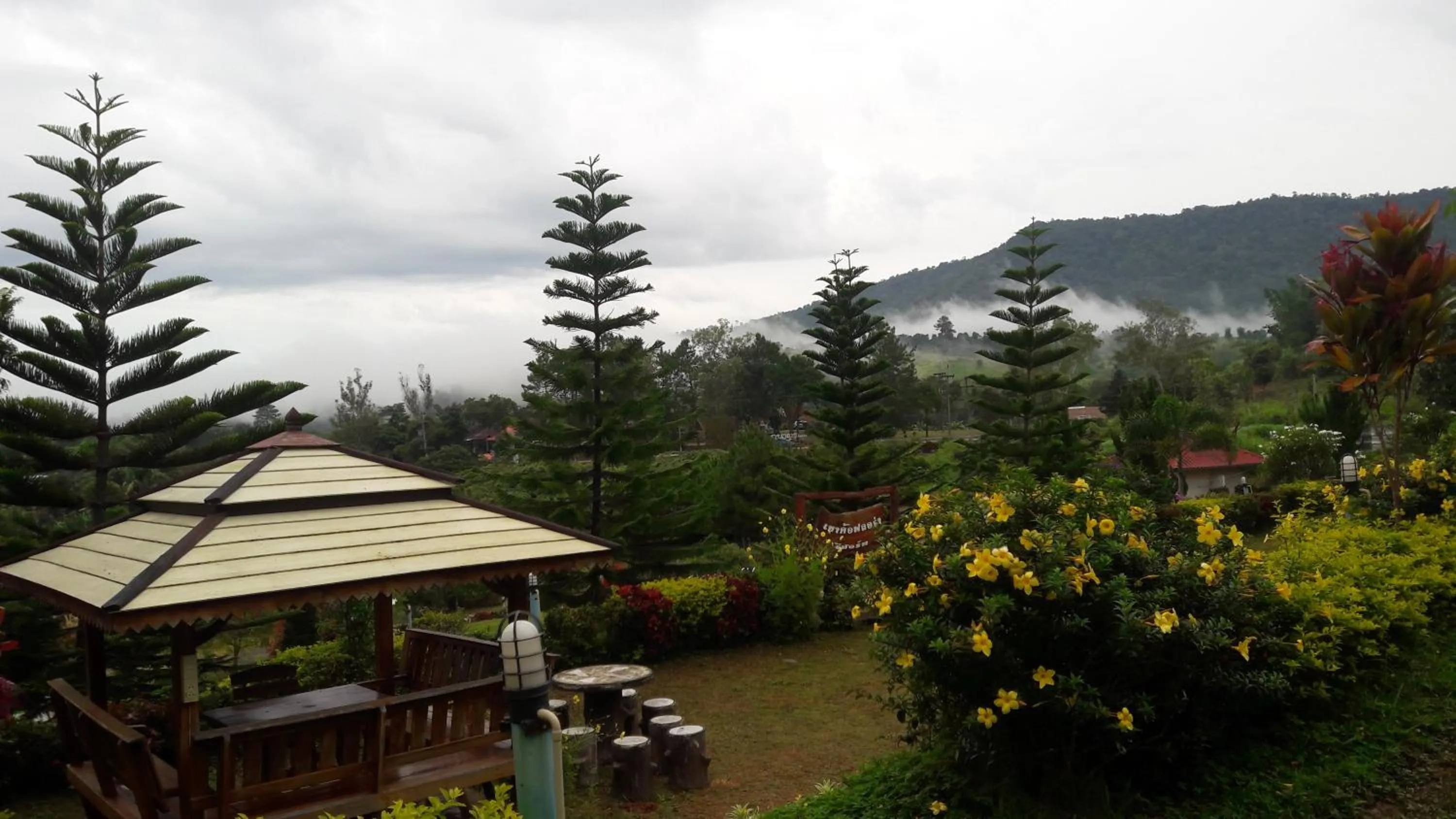 Khao Kho Flora