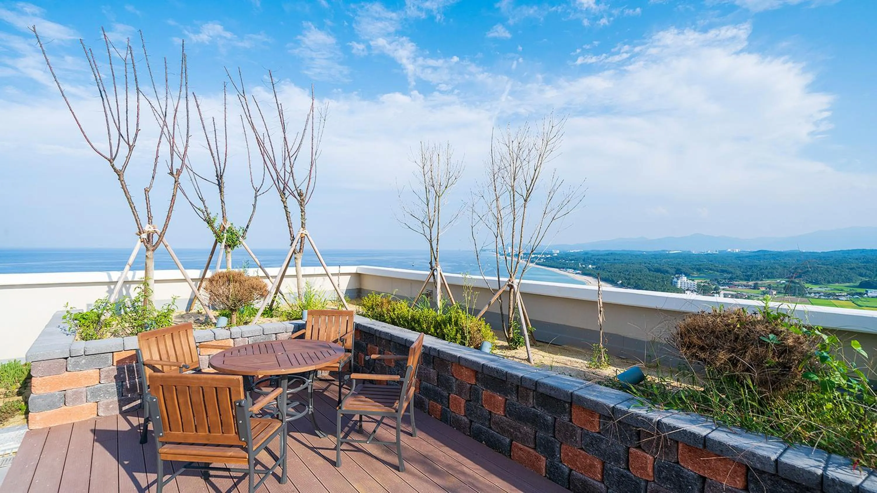 Restaurant/places to eat in Gangneung Chonpines Ocean Suites Hotel