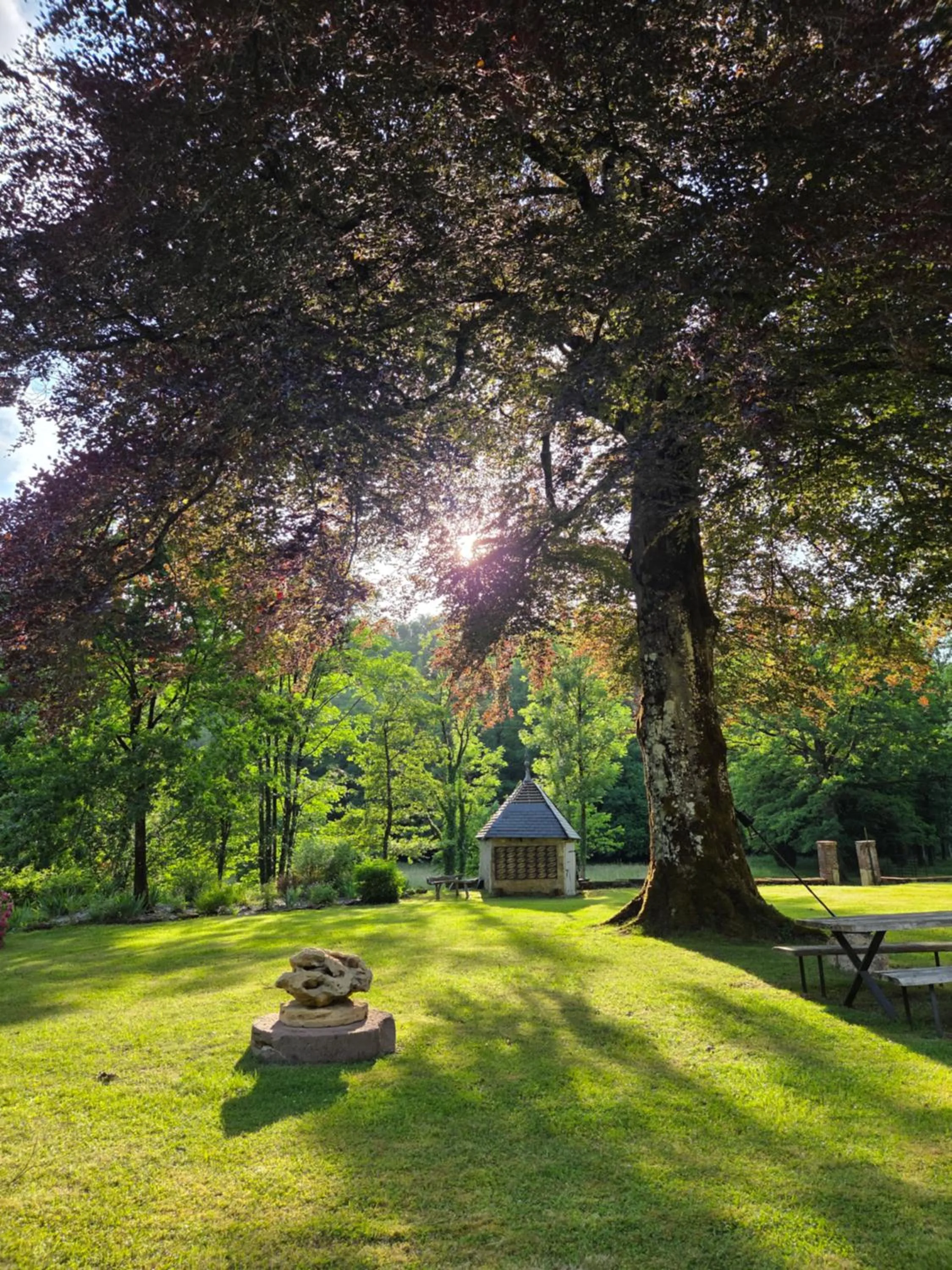 View (from property/room) in La Jonquette
