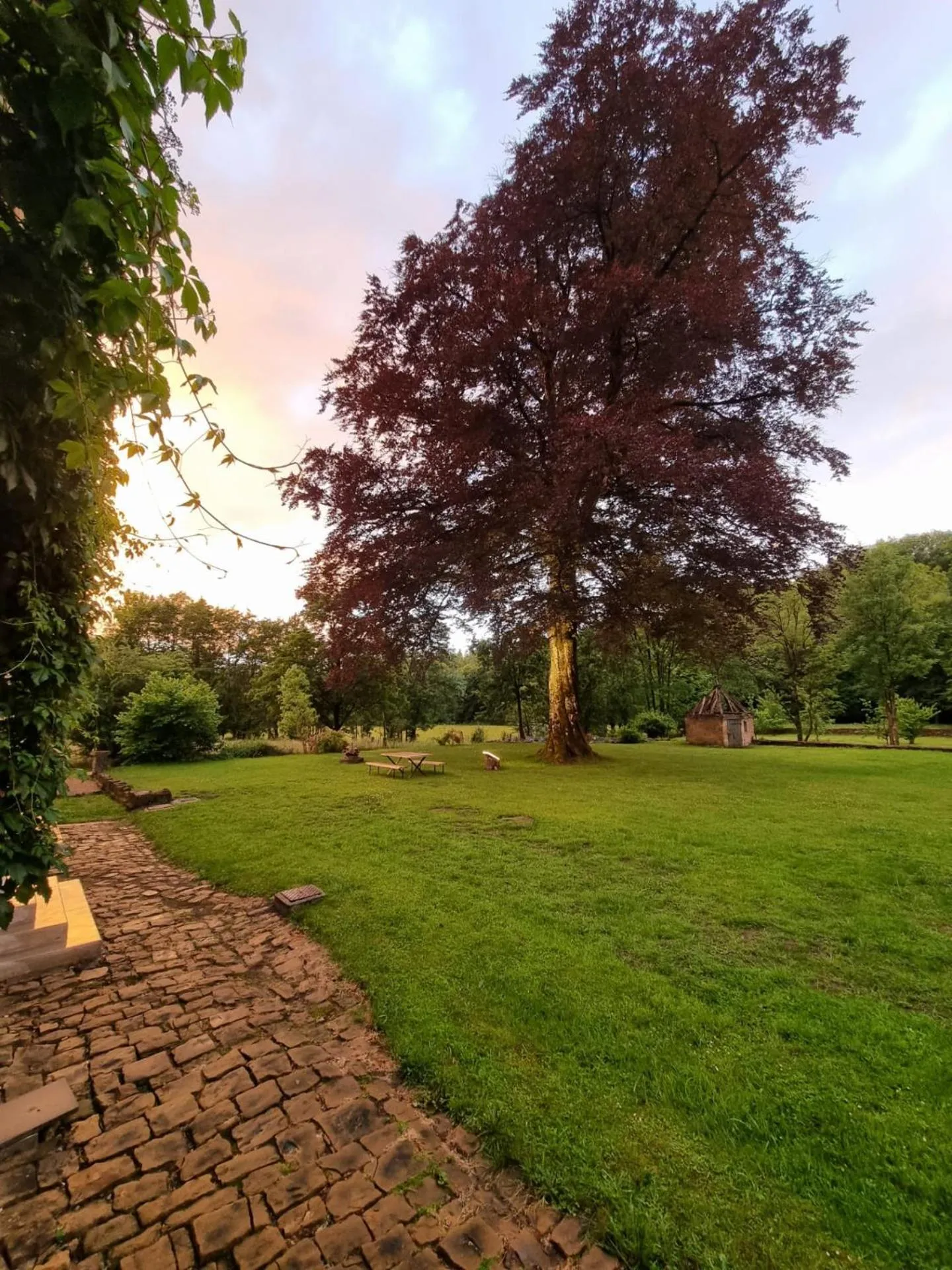 Natural landscape in La Jonquette