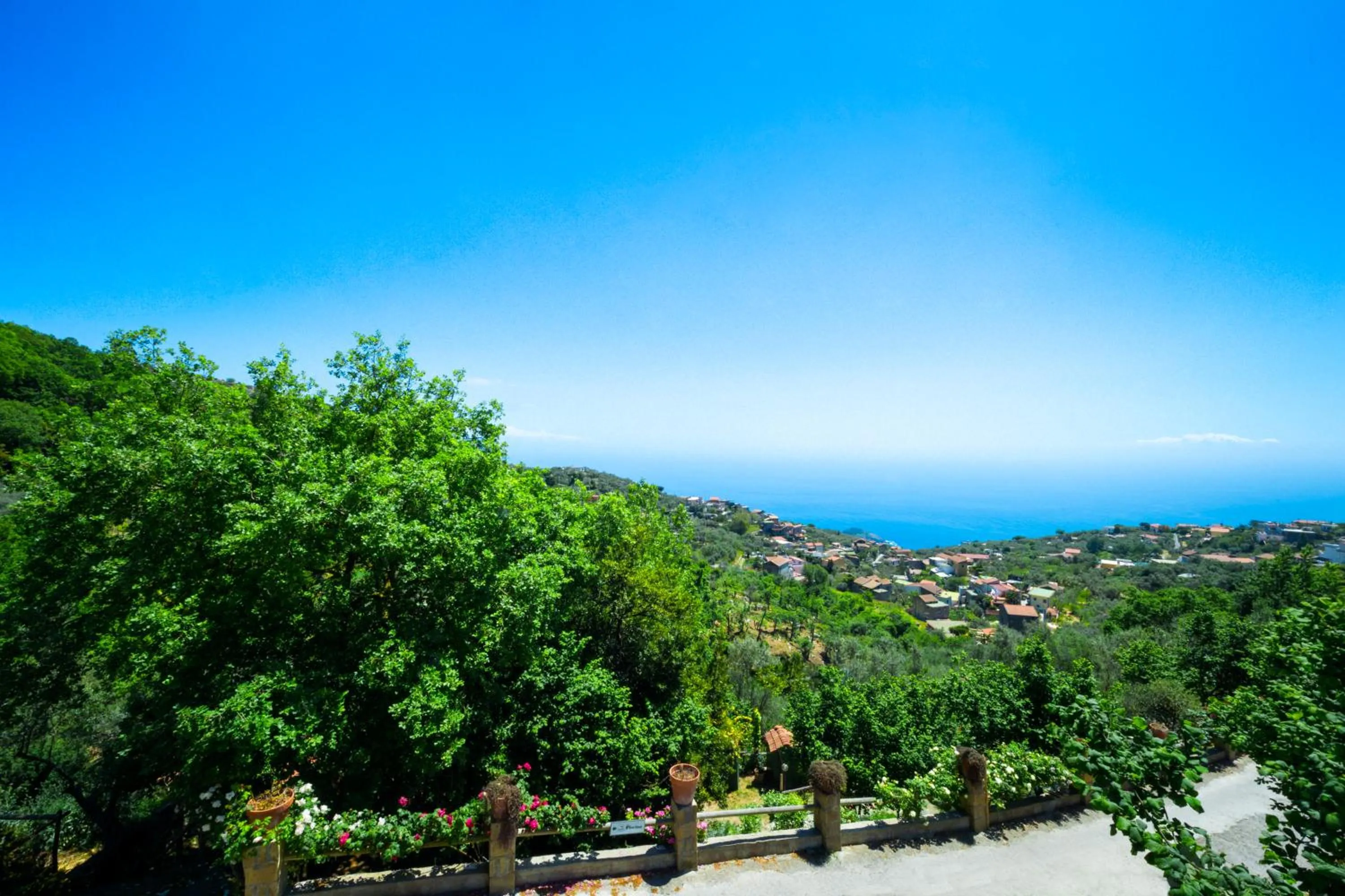 Activities in Agriturismo Fattoria Terranova