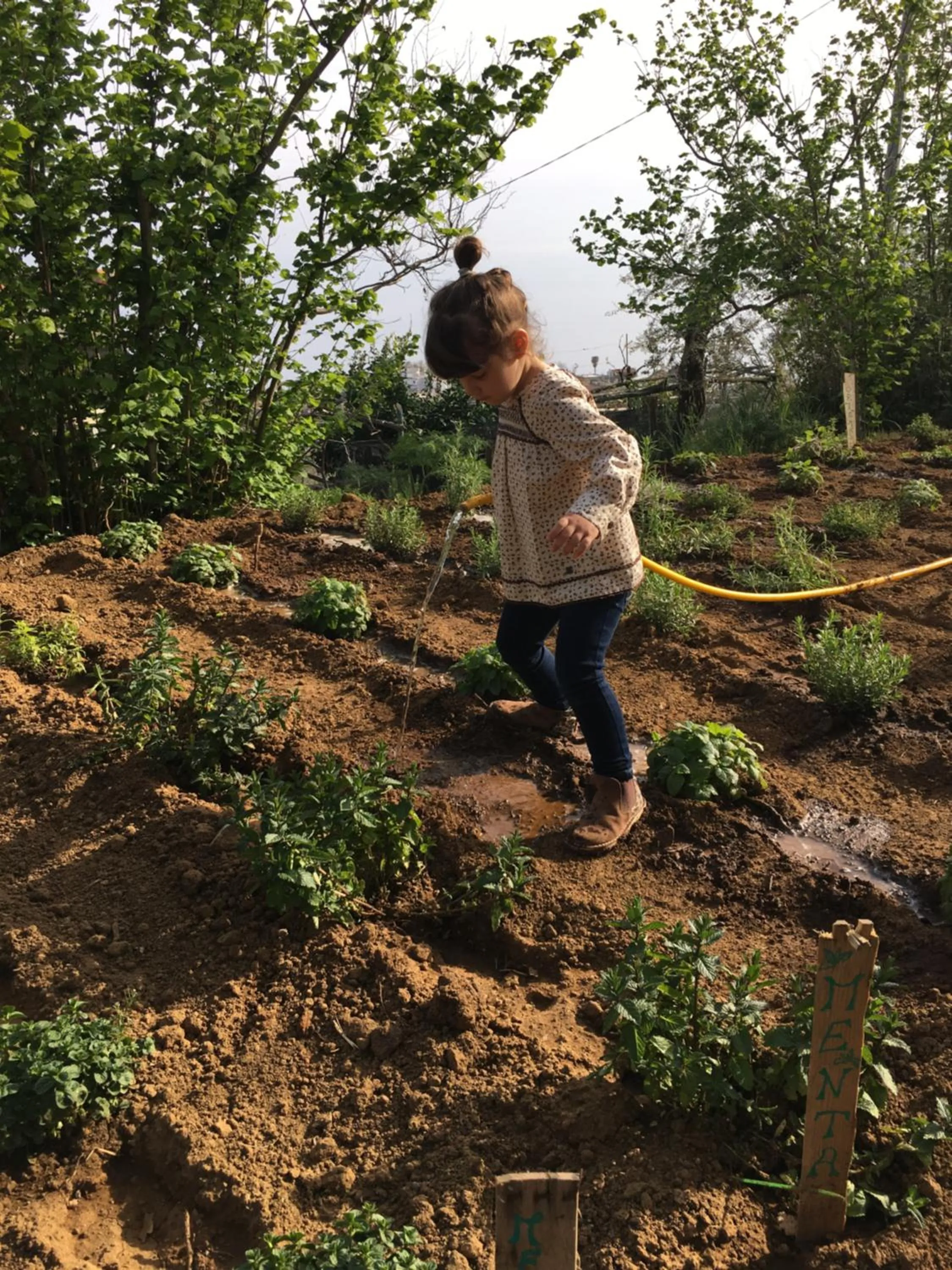 Family in Agriturismo Fattoria Terranova