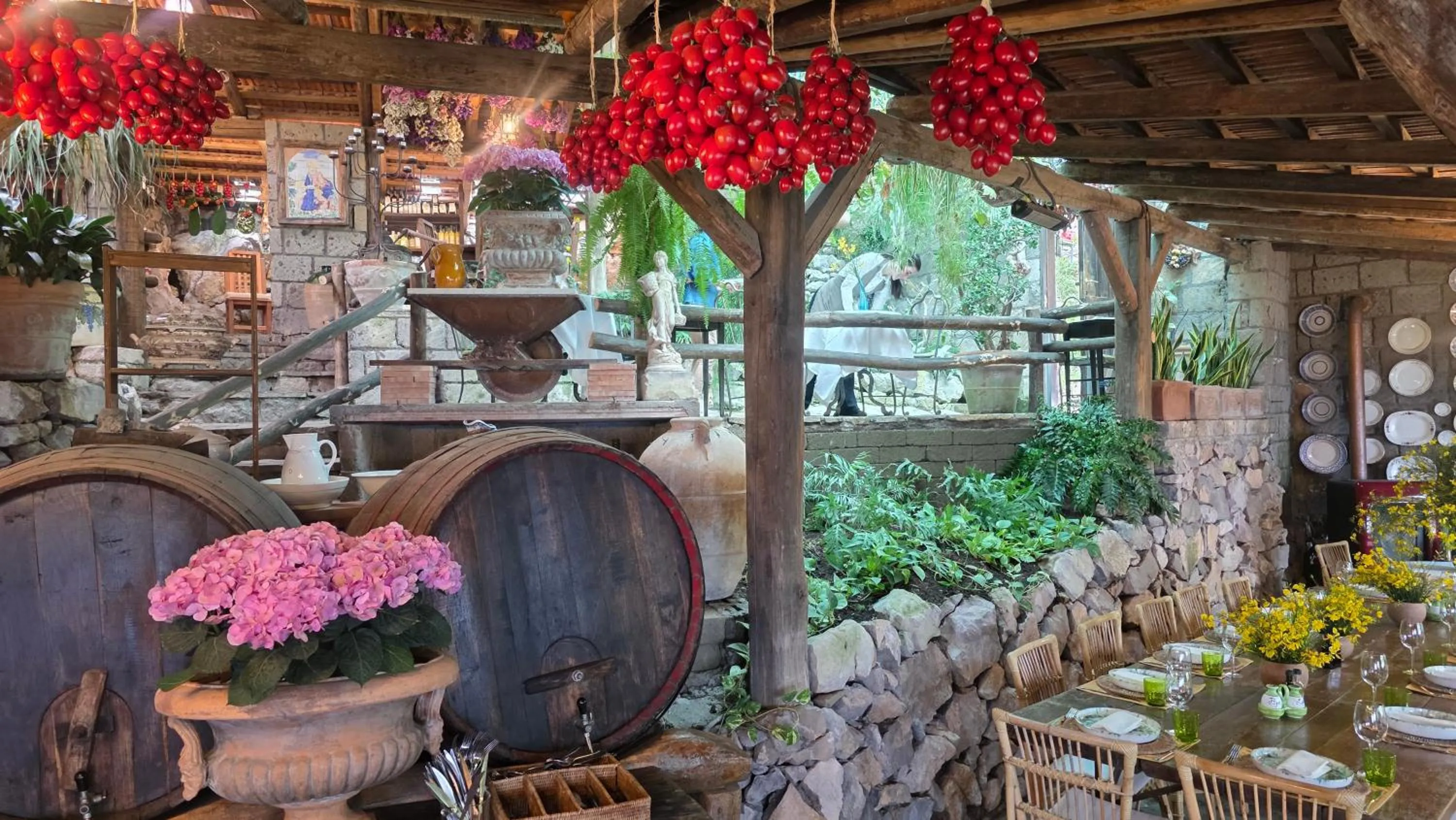 Restaurant/places to eat in Agriturismo Fattoria Terranova