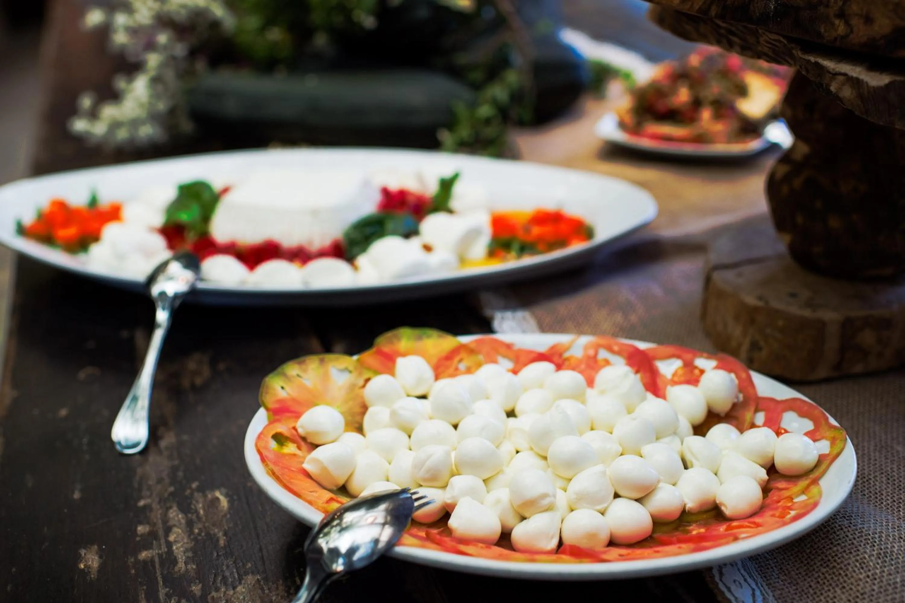 Restaurant/places to eat in Agriturismo Fattoria Terranova