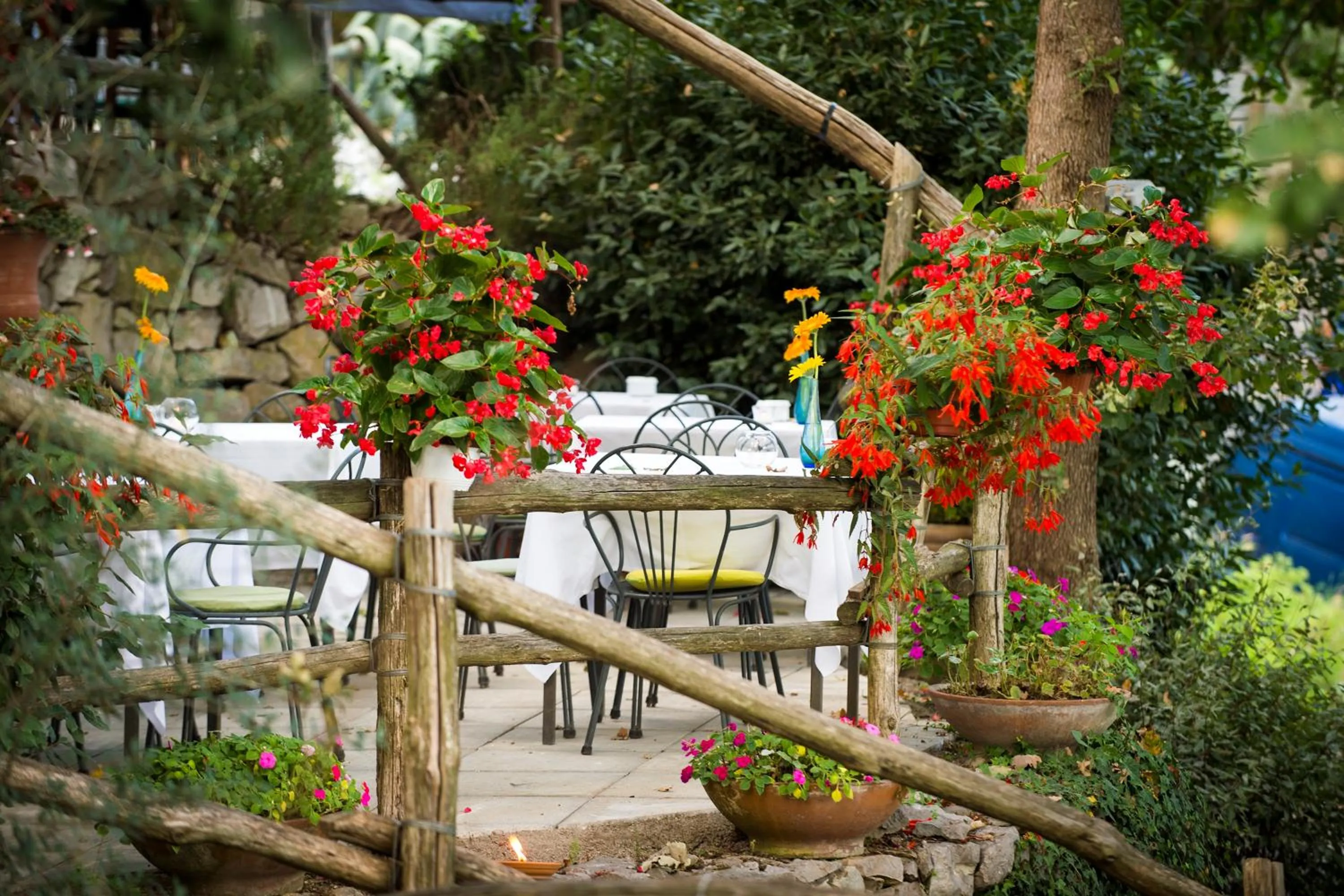 Restaurant/places to eat in Agriturismo Fattoria Terranova