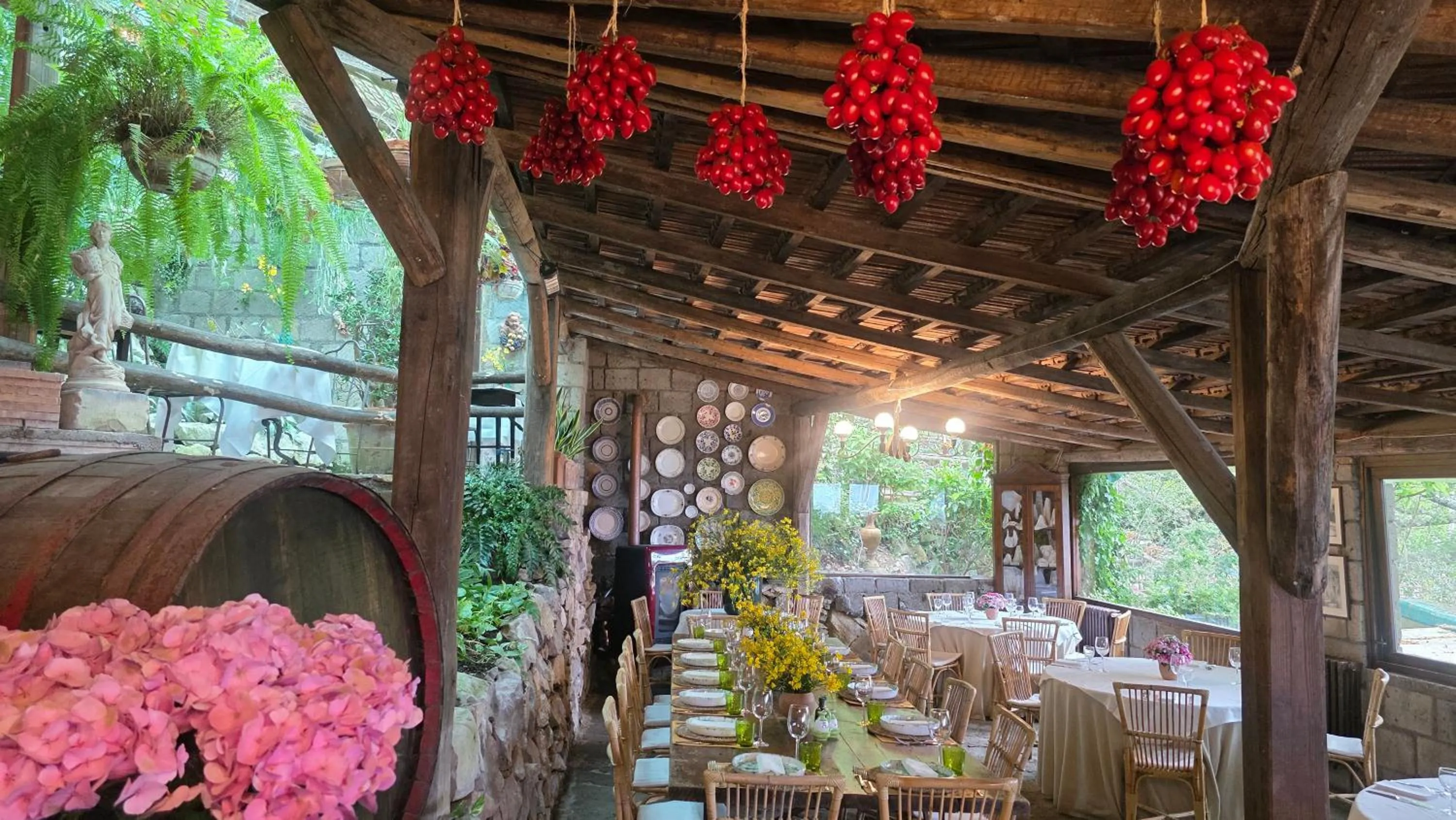 Restaurant/places to eat in Agriturismo Fattoria Terranova