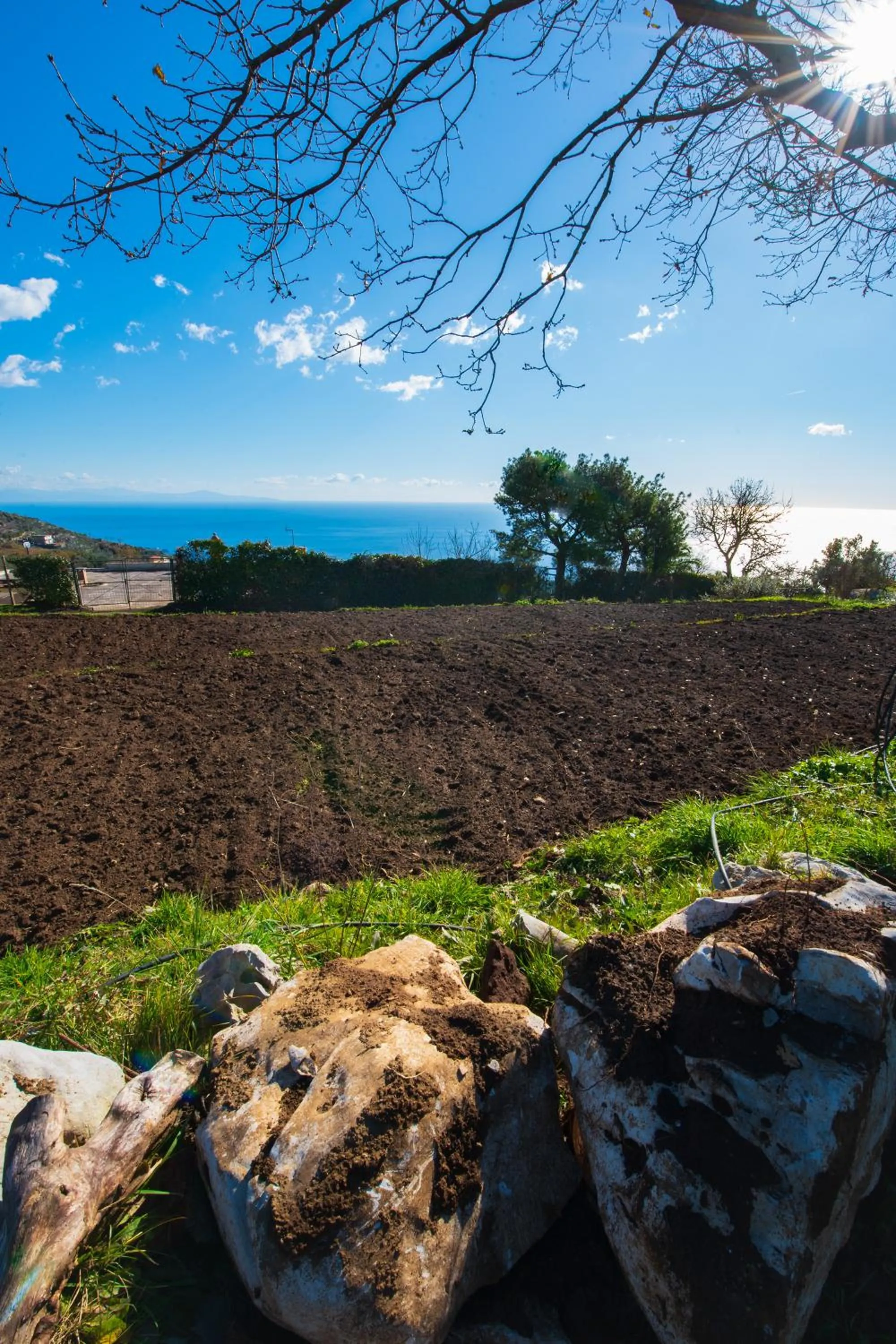 Garden in Agriturismo Fattoria Terranova