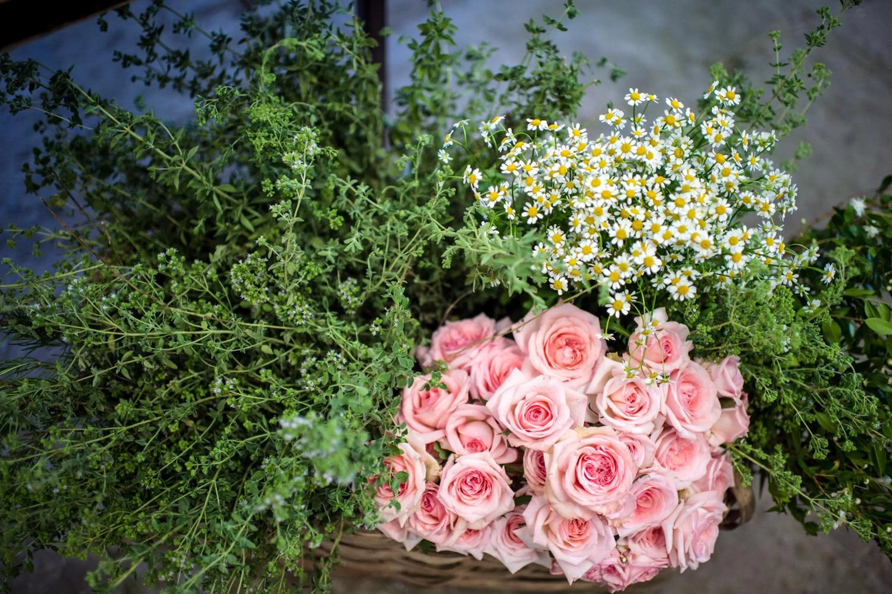 Decorative detail in Agriturismo Fattoria Terranova