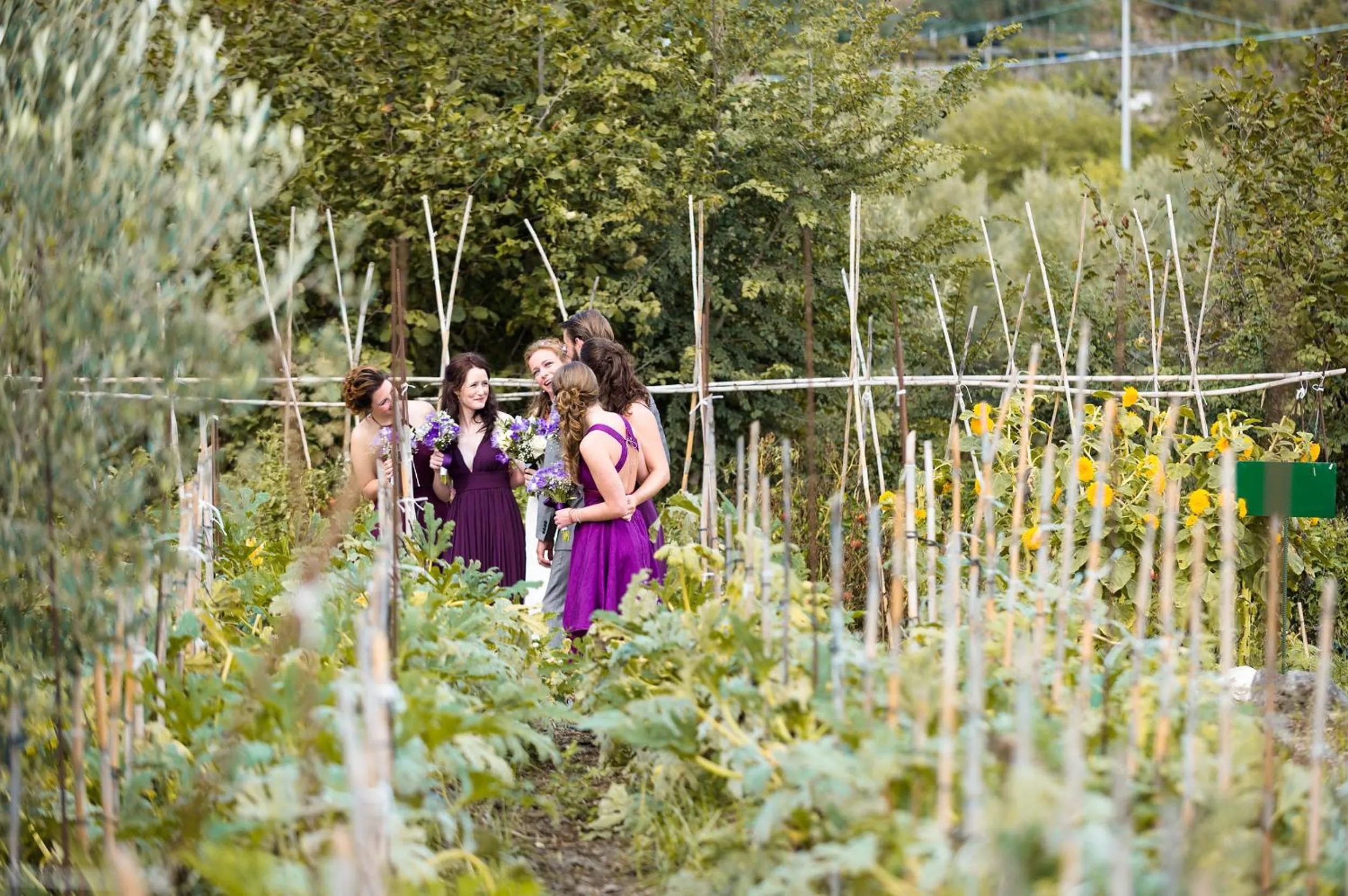 Spring in Agriturismo Fattoria Terranova