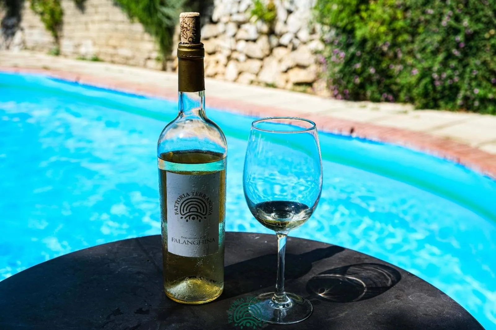 Day in Agriturismo Fattoria Terranova