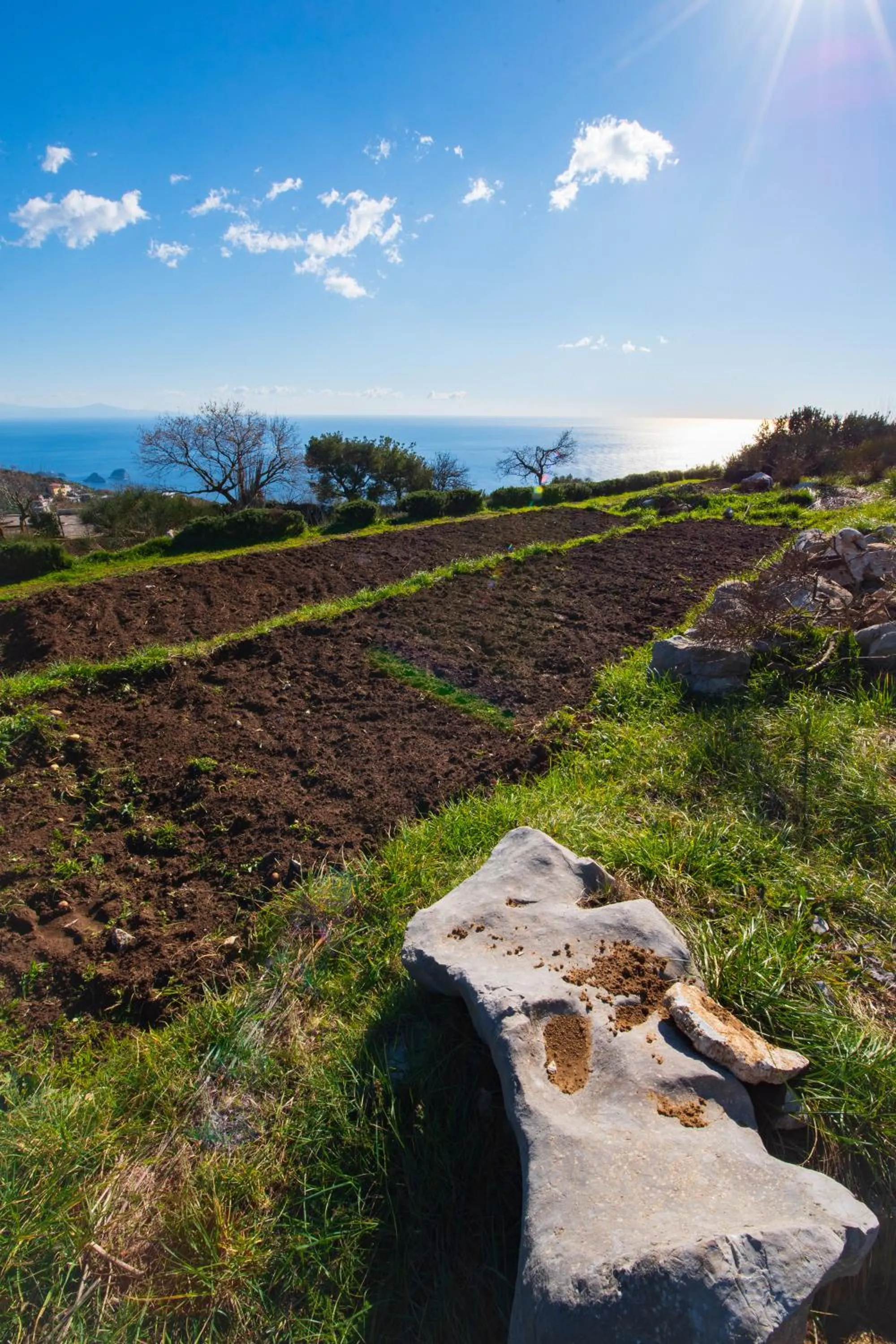 Spring in Agriturismo Fattoria Terranova