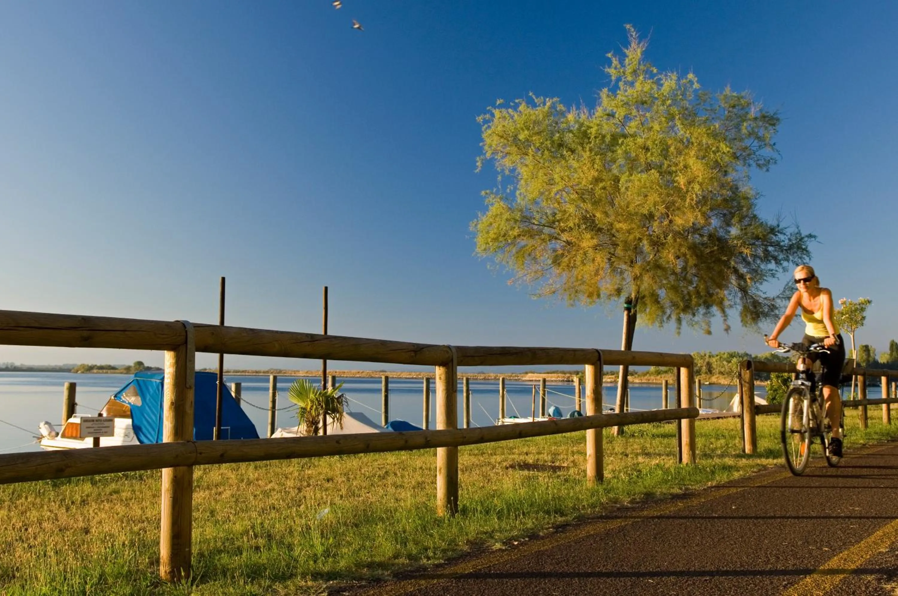 Area and facilities in Hotel Hannover