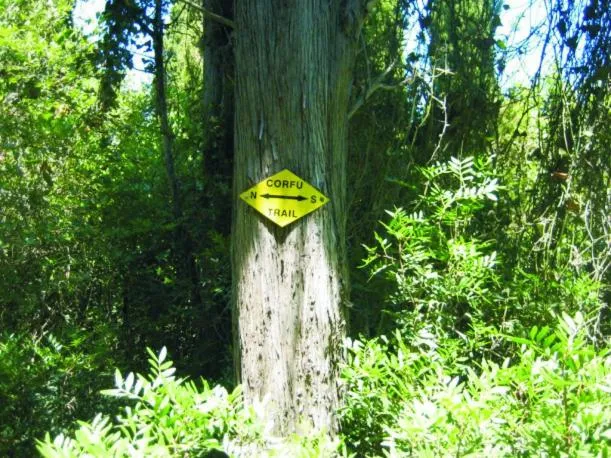 Animals in Mediterranean Blue