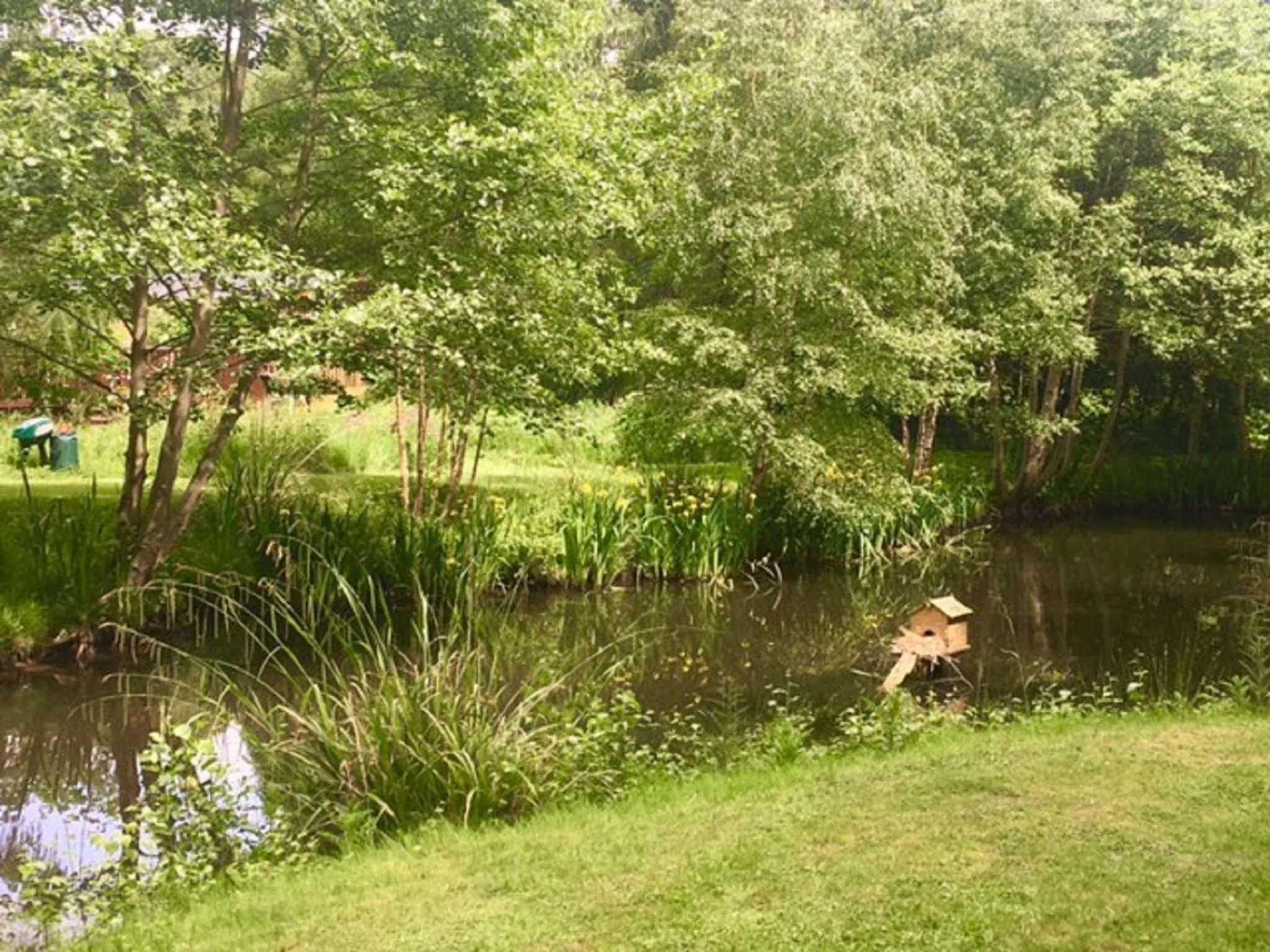 Garden in Hollicarrs - Lilypad Lodge