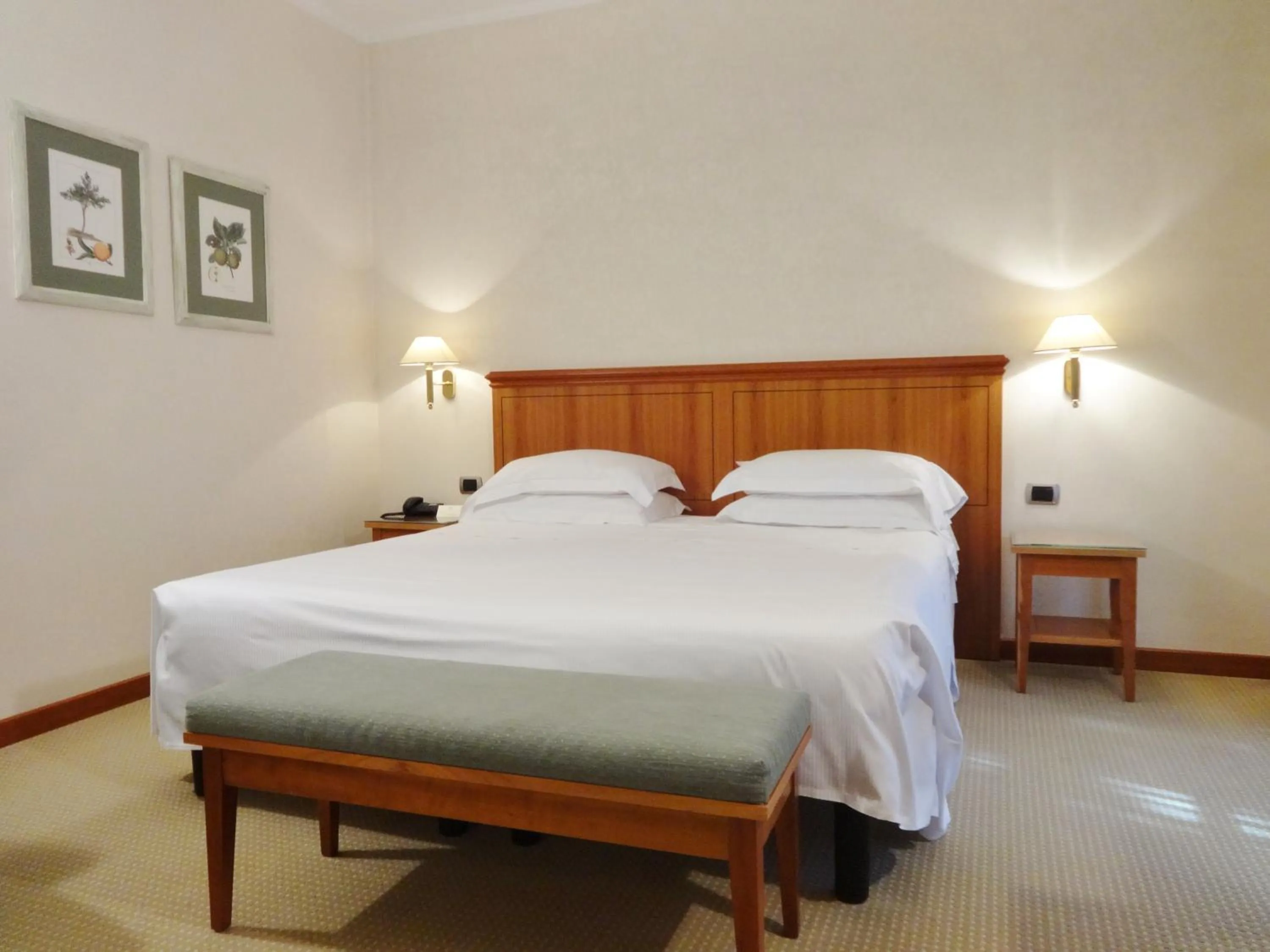 Bed in Hotel Excelsior Magenta