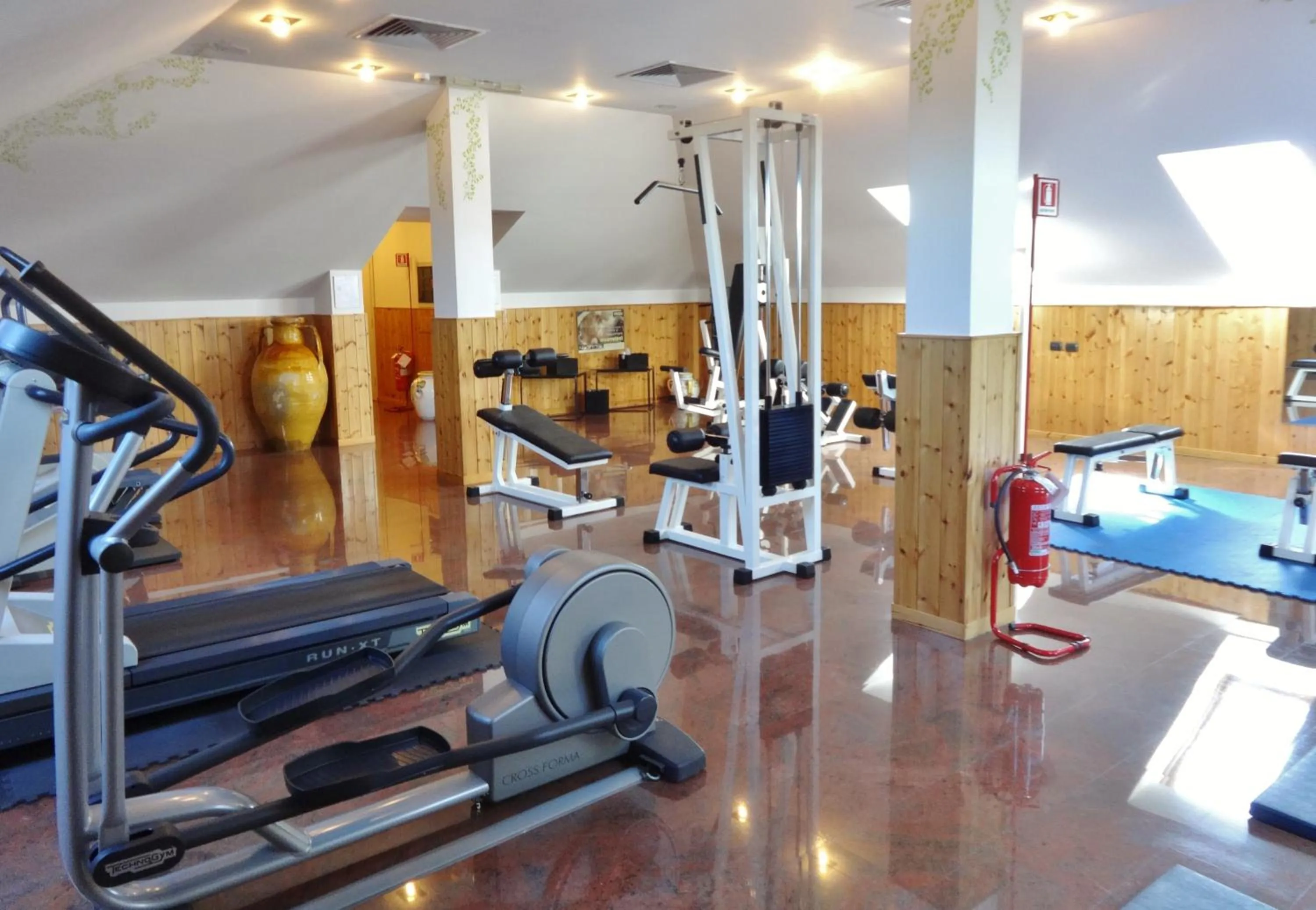 Fitness centre/facilities in Hotel Excelsior Magenta