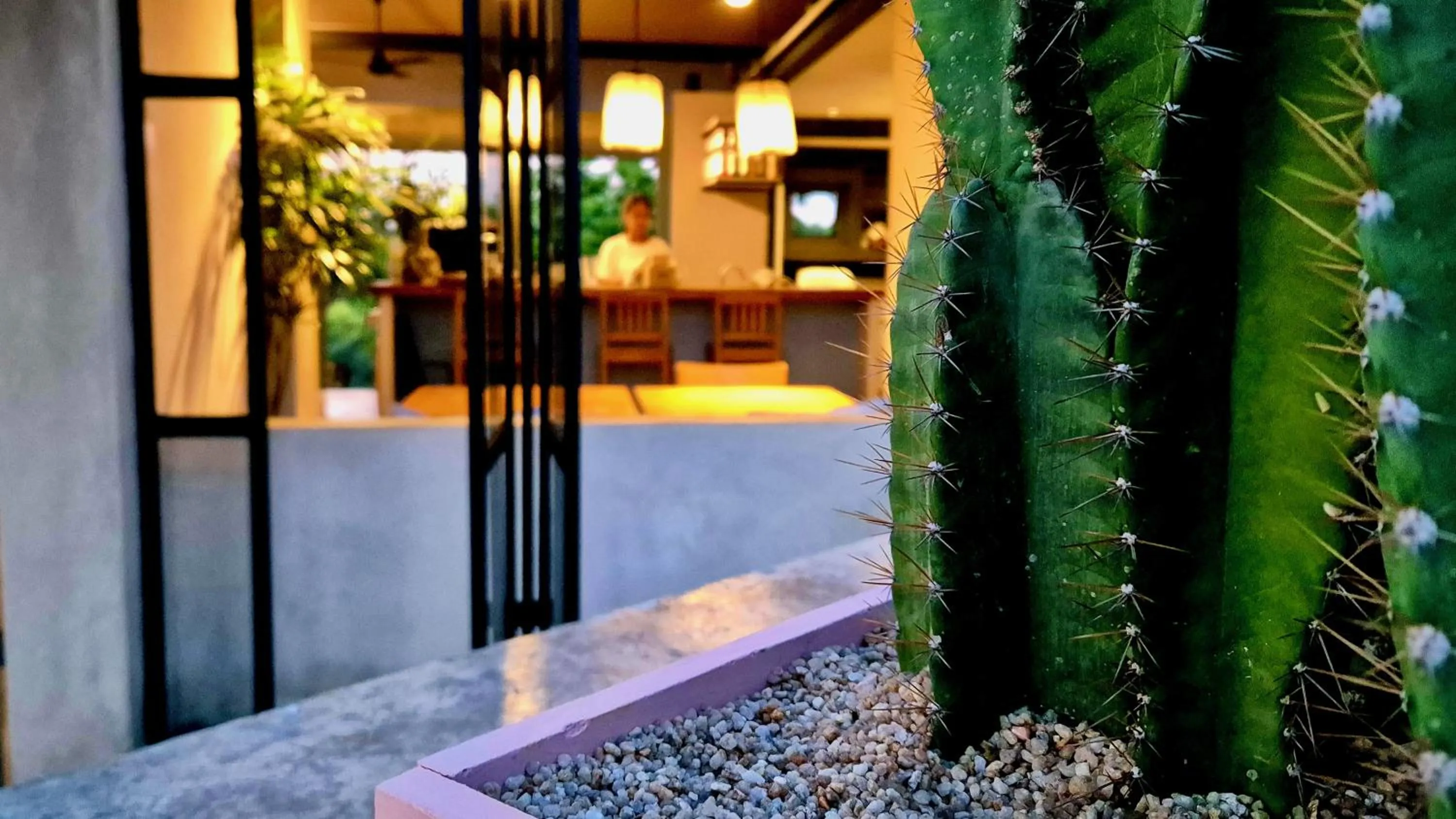 Property building in Coconut Lane Bangkok