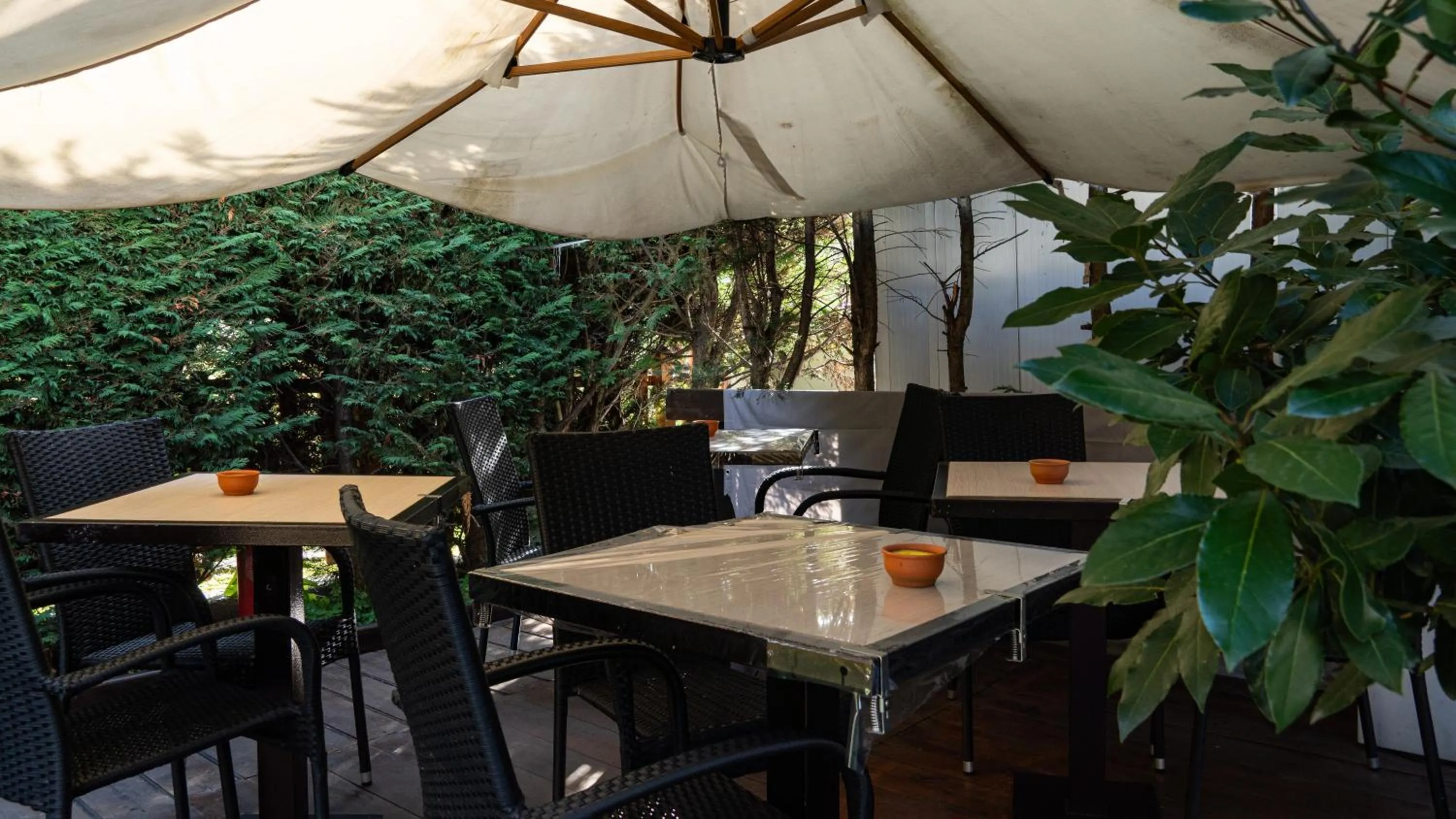 Garden in Hotel Au Soleil