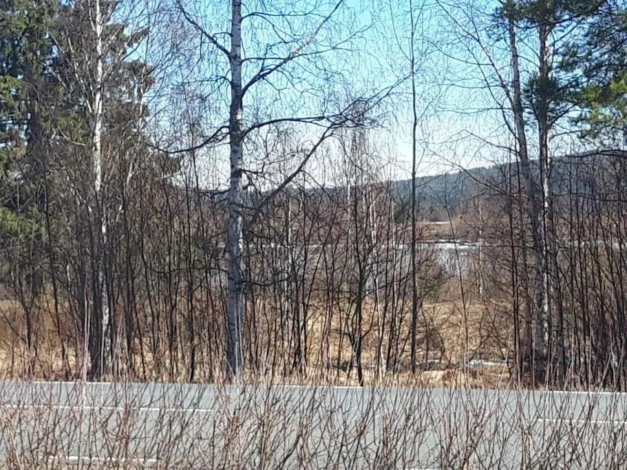 Natural landscape in The Old Post Office