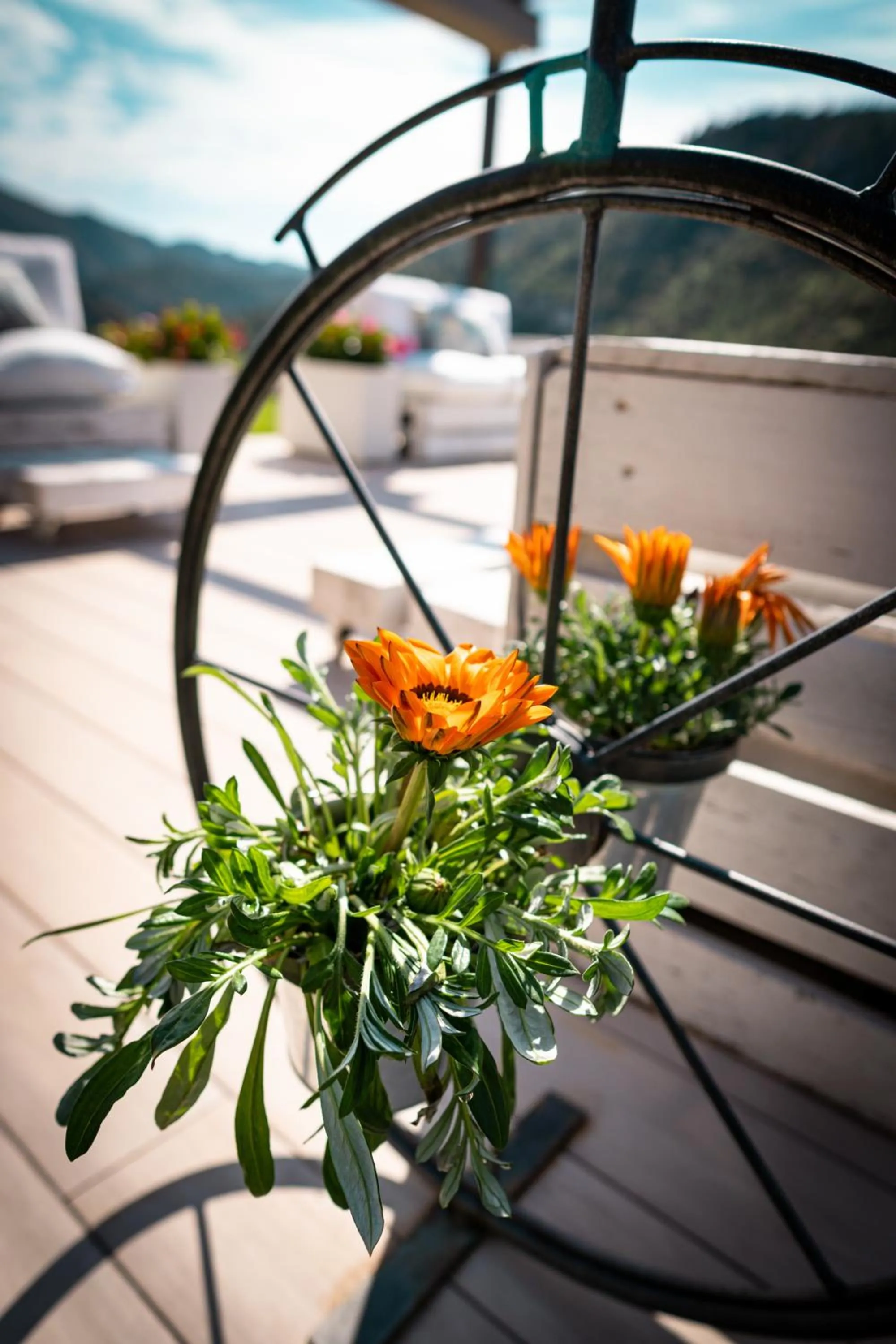 Off site in Hotel Mas Mariassa