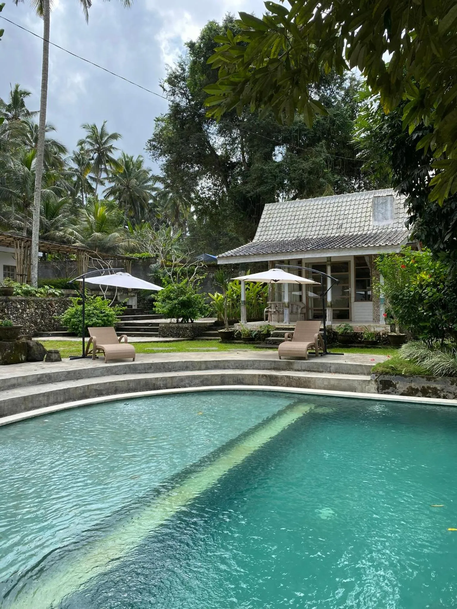 Swimming pool in Aventus Resort Ubud