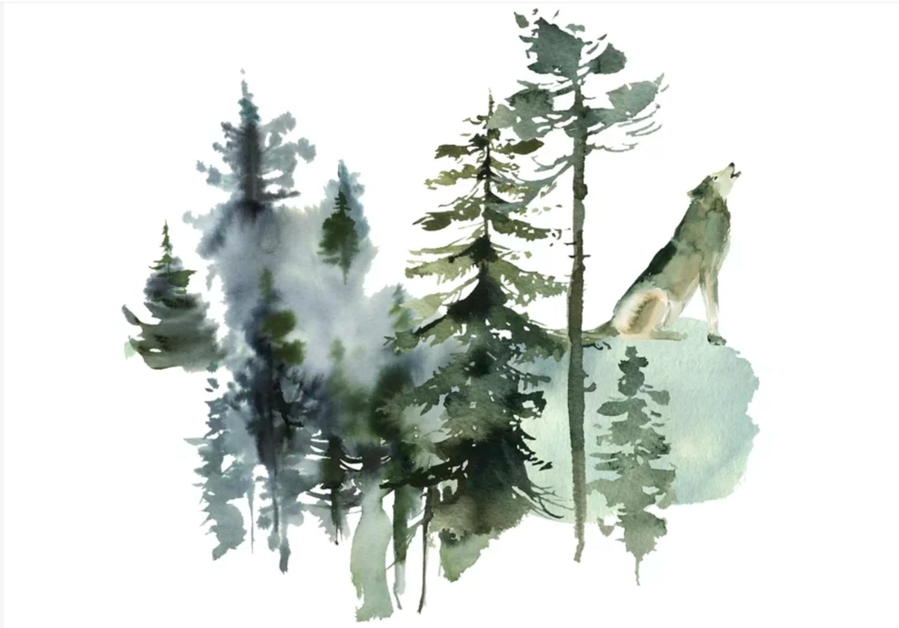 Natural landscape in HusHotellHunge AB