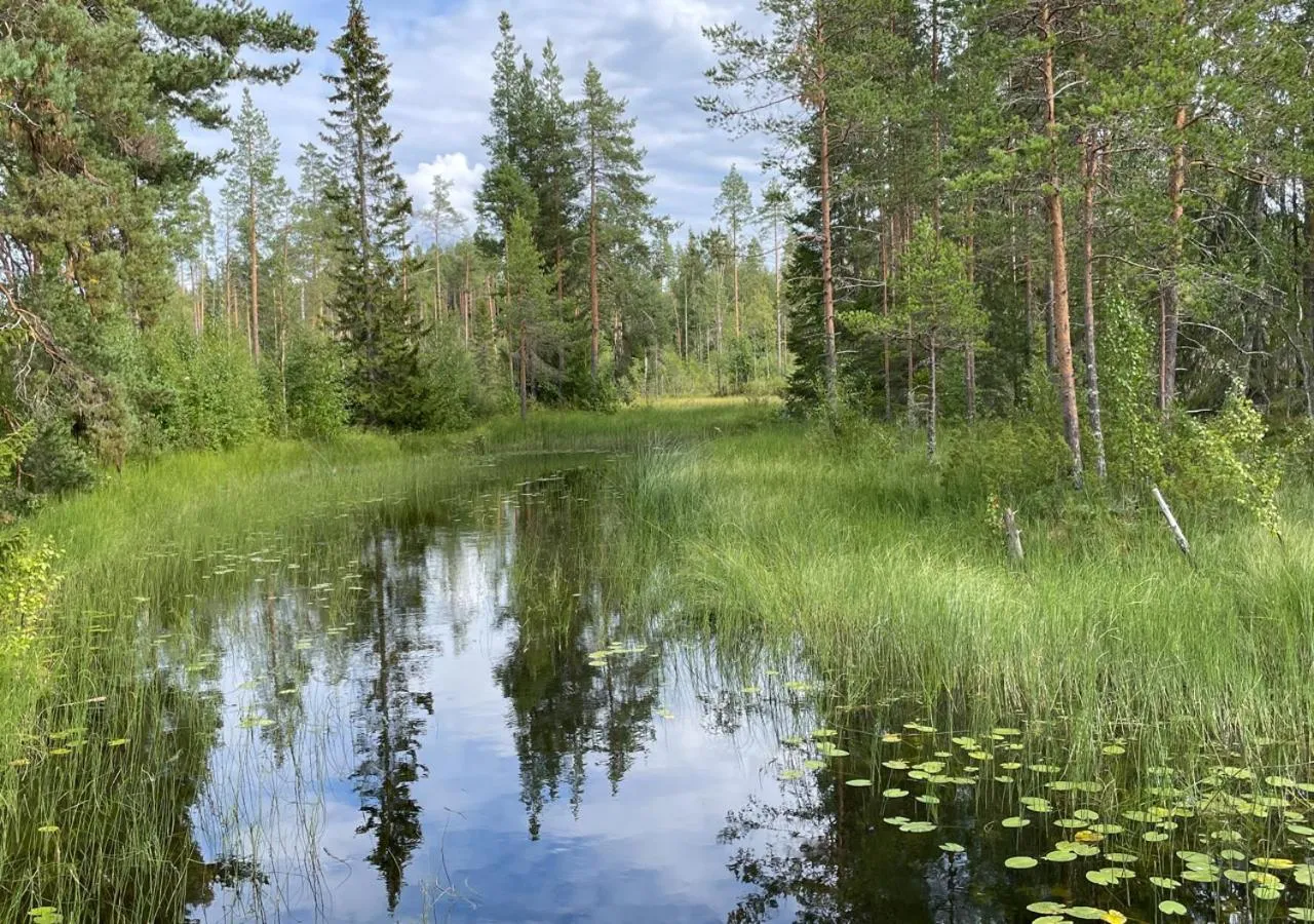 Natural landscape in HusHotellHunge AB