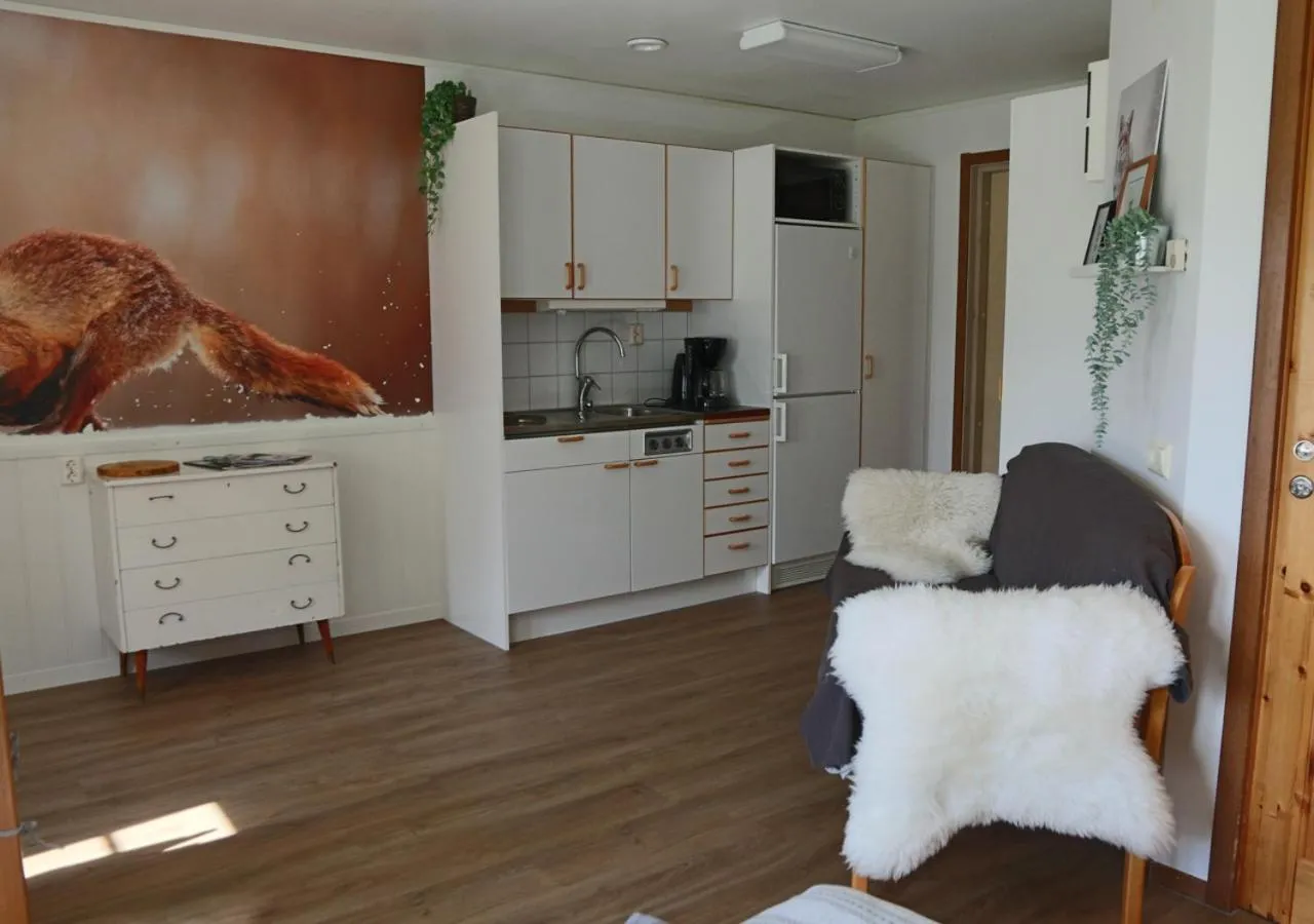 Kitchen or kitchenette in HusHotellHunge AB