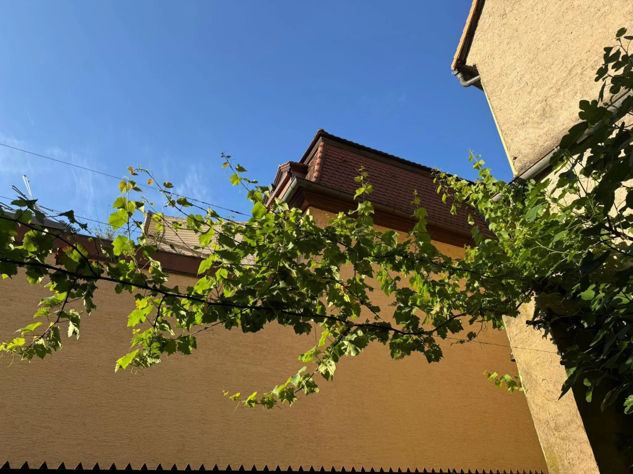 Property building in Hotel und Restaurant Neuhauser