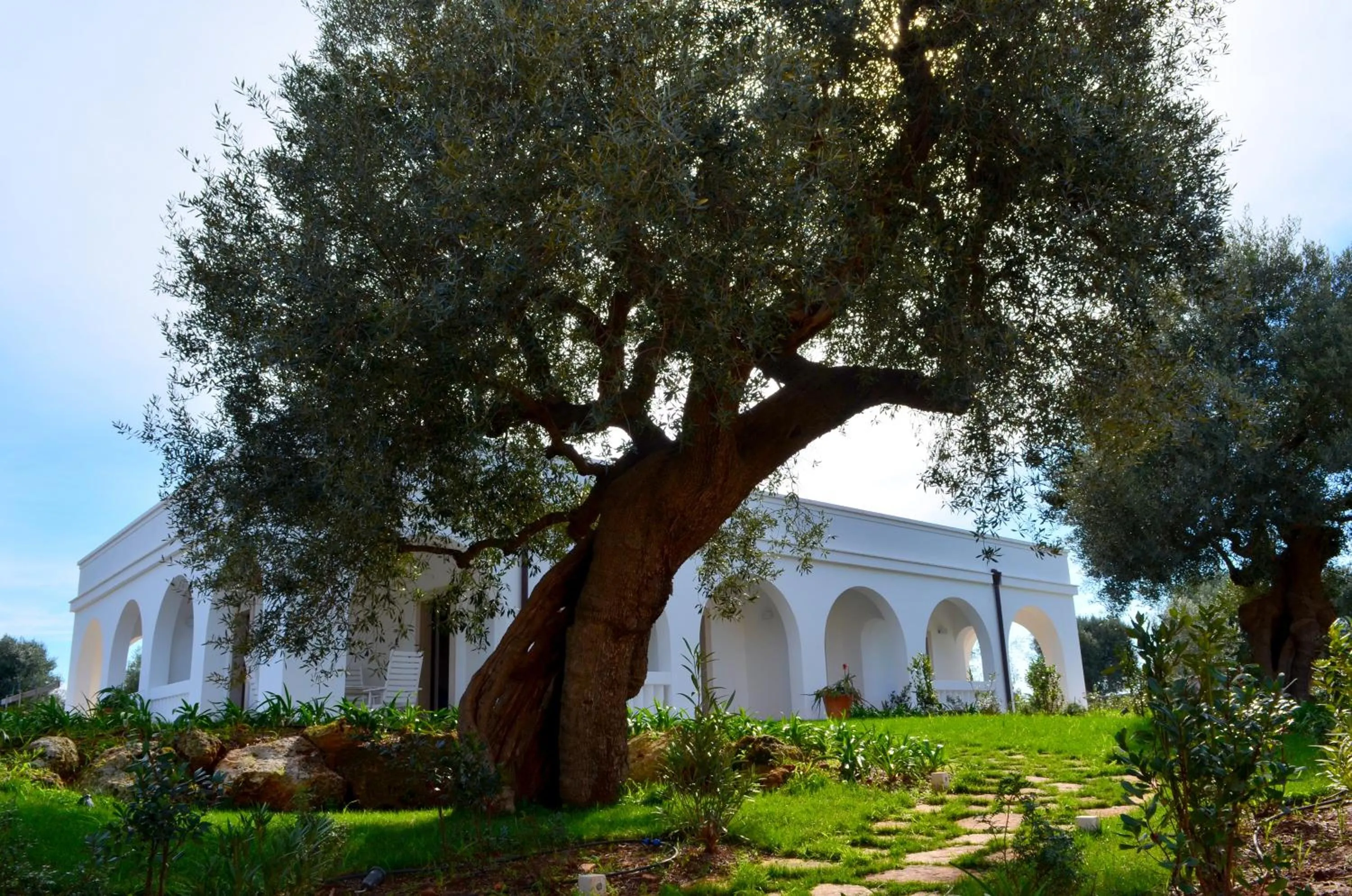 Facade/entrance in Hotel Masseria Tutosa