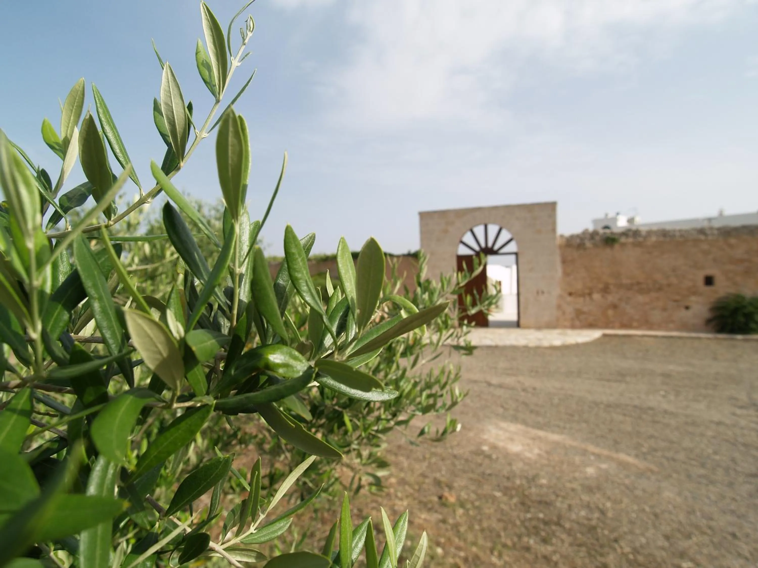 Facade/entrance in Hotel Masseria Tutosa