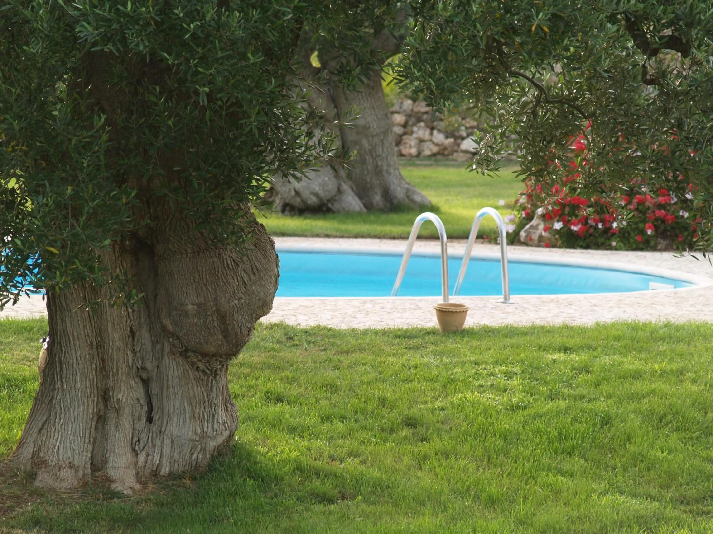 Garden in Hotel Masseria Tutosa