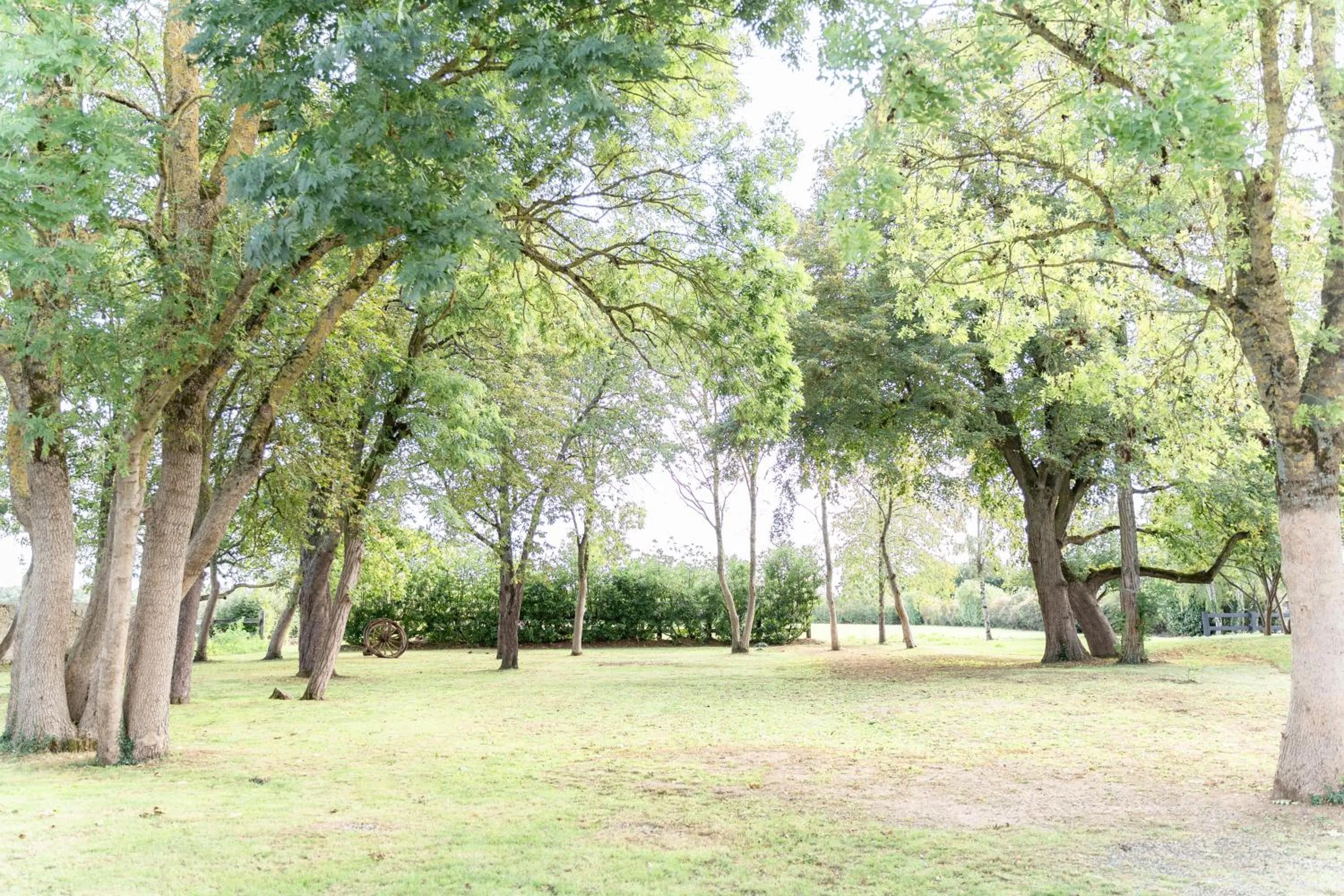 Natural landscape in Domaine Malar