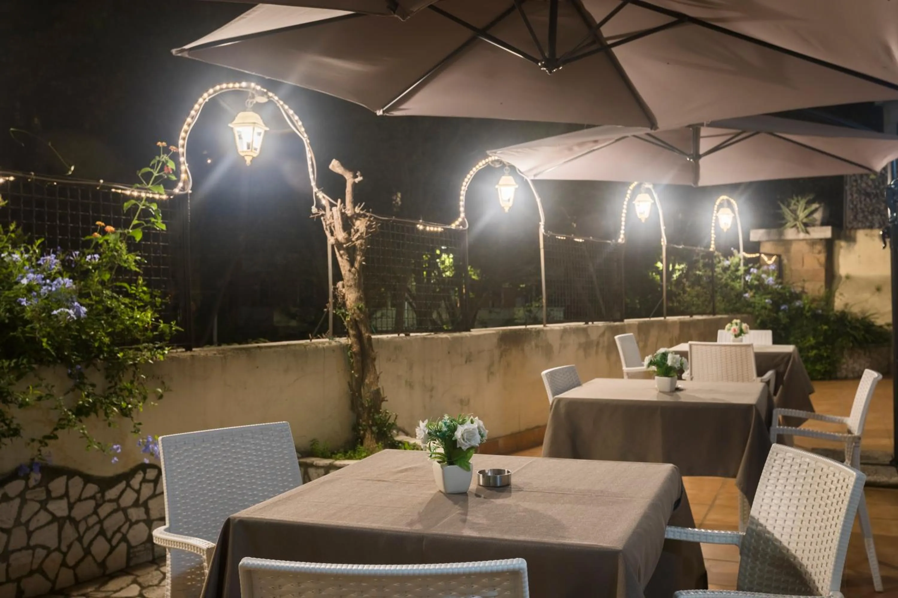 Balcony/Terrace in Hotel Villa Rosa