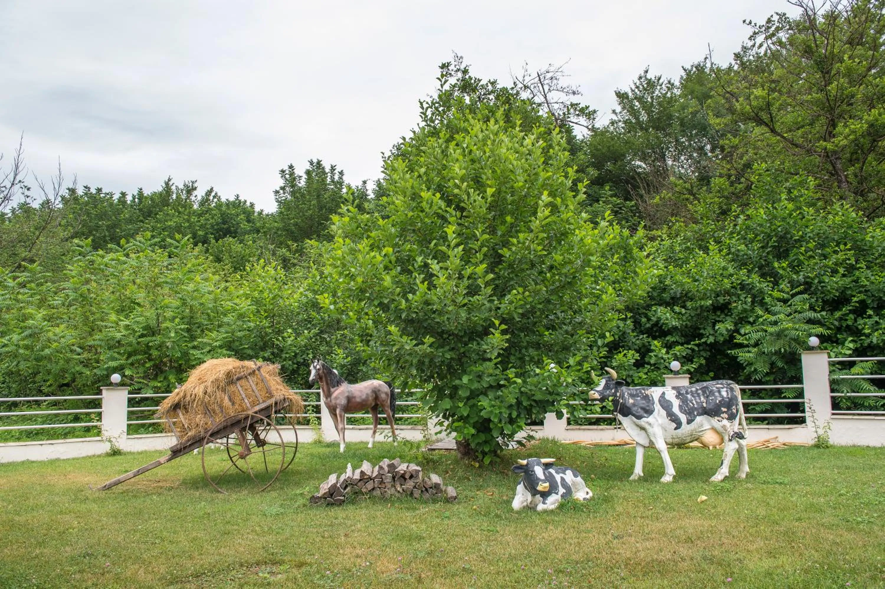 Day in Chukhur Gabala Museum Hotel
