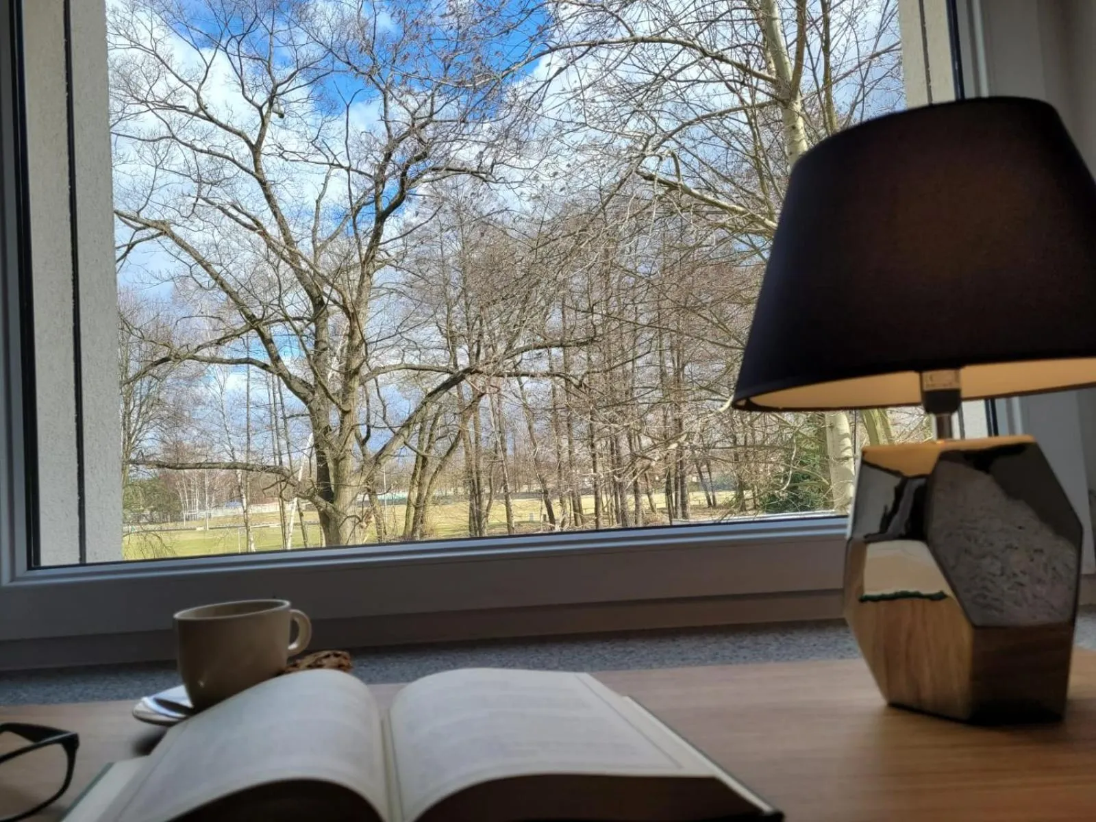 Garden view in Good Sleep