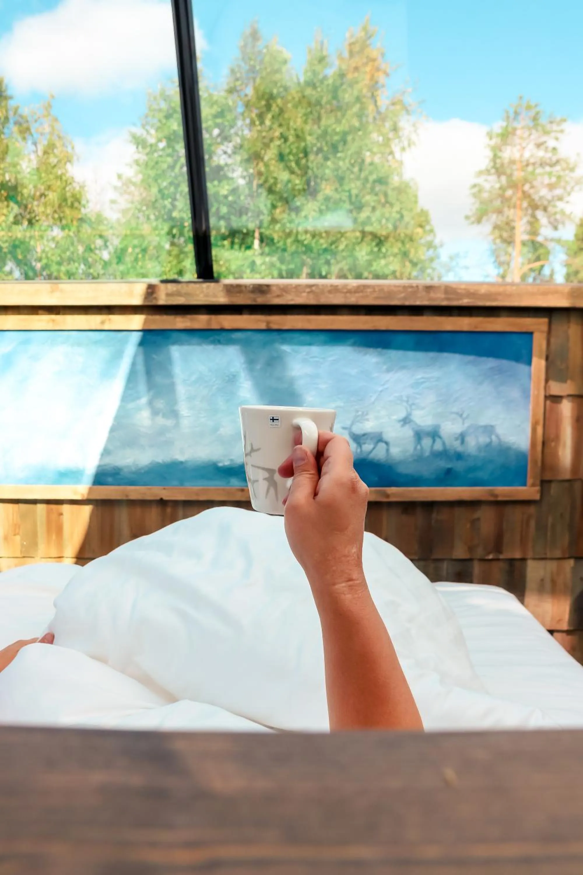 Natural landscape, Bed in Aurora Pyramid Glass Igloos