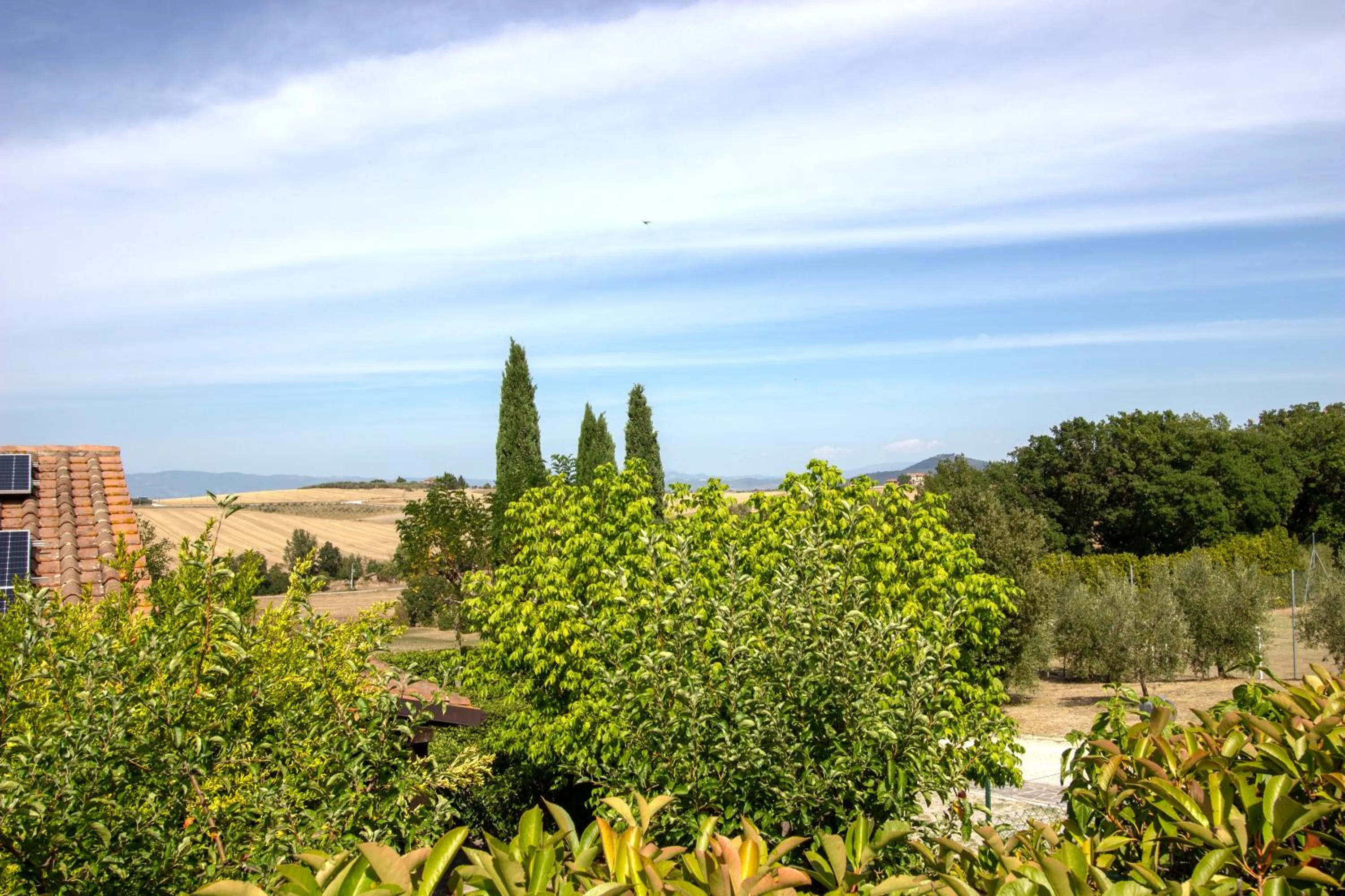 Day in Agriturismo Tenuta Badia