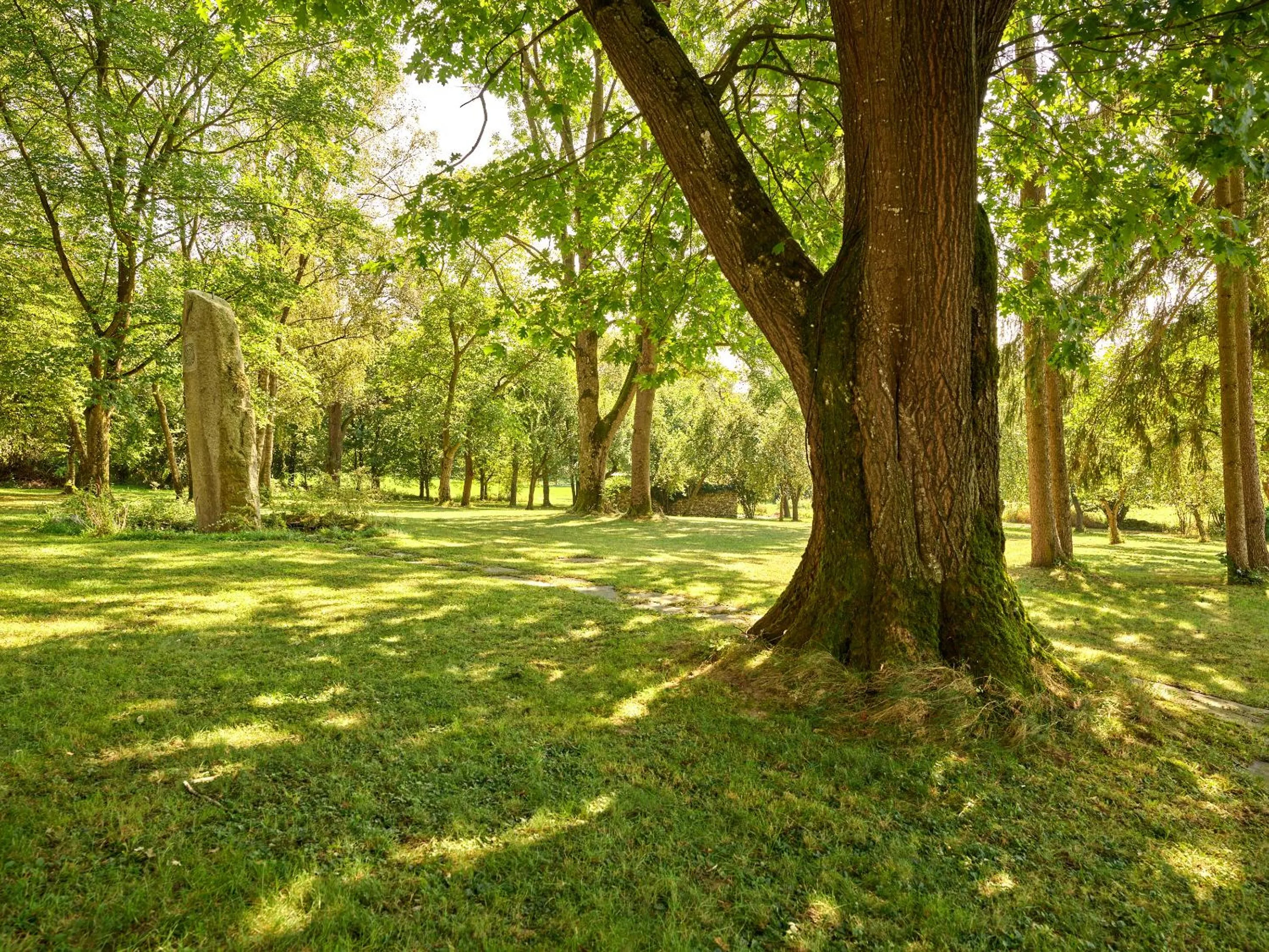 Garden in AquaQuell Bad Pilzweg