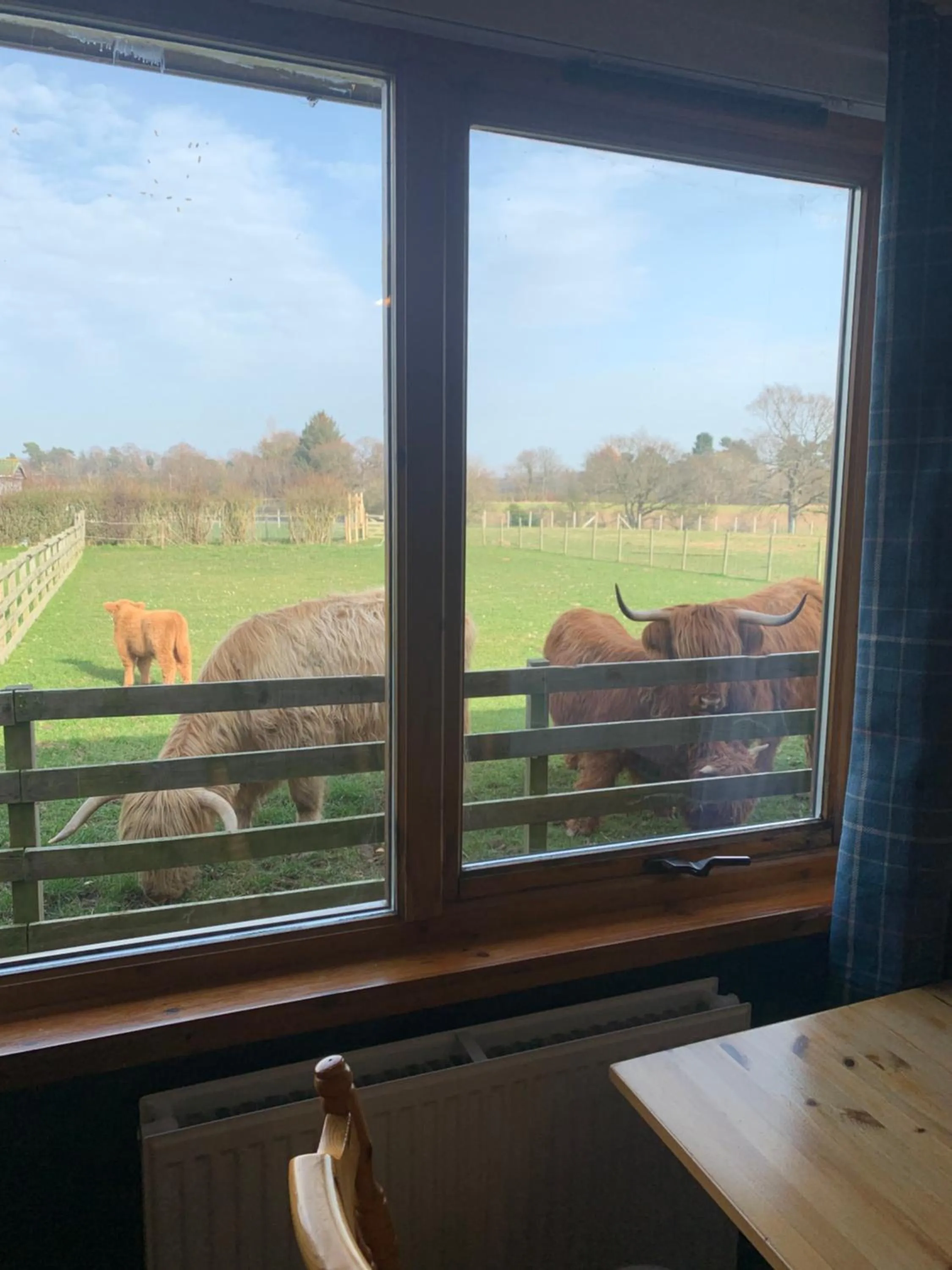 Animals in Orchard House Lodges by Ecohuman