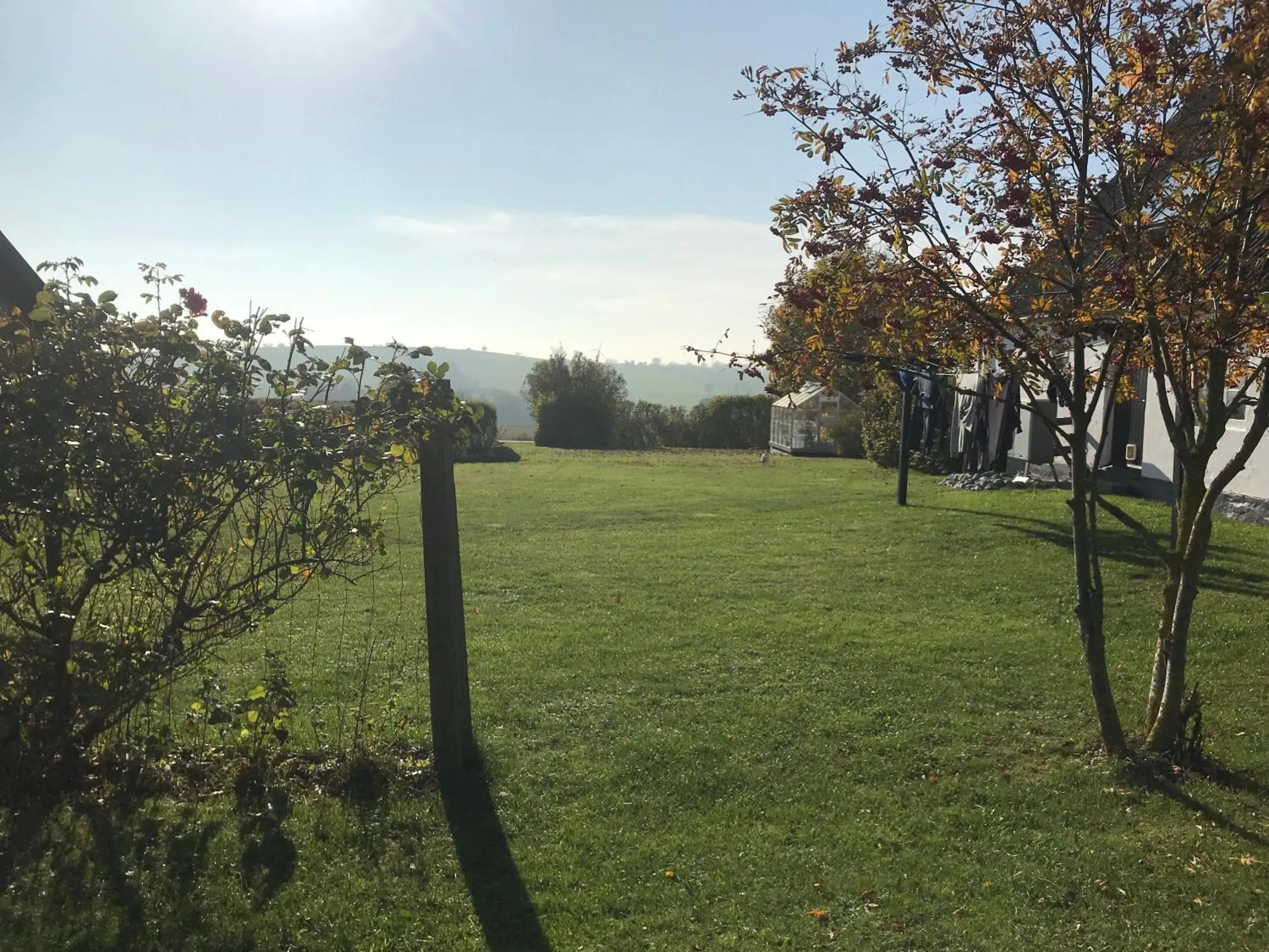 Garden in Apartment Ruhetgaard Bed & kitchen