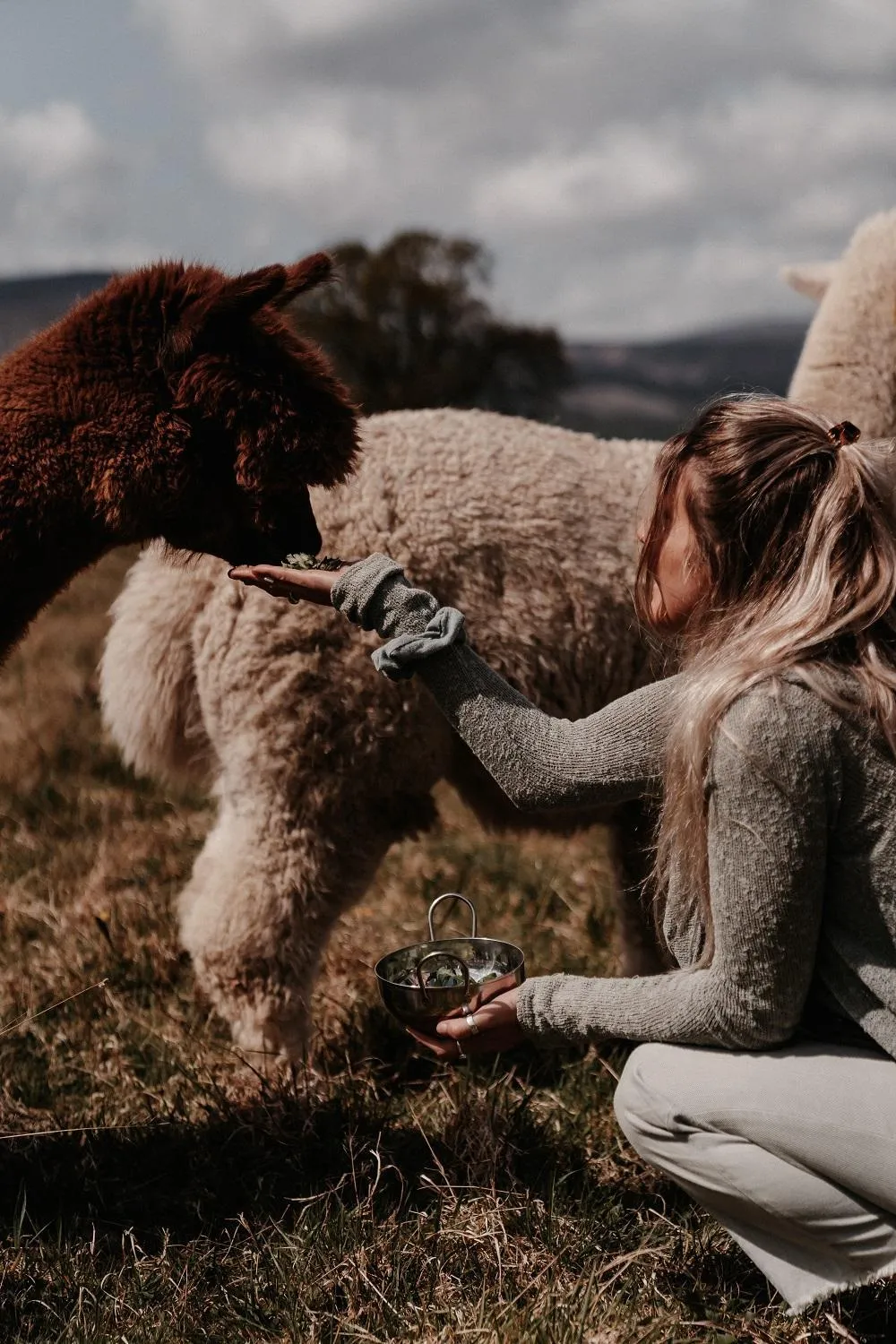 Animals in Powerscourt Springs Health Farm