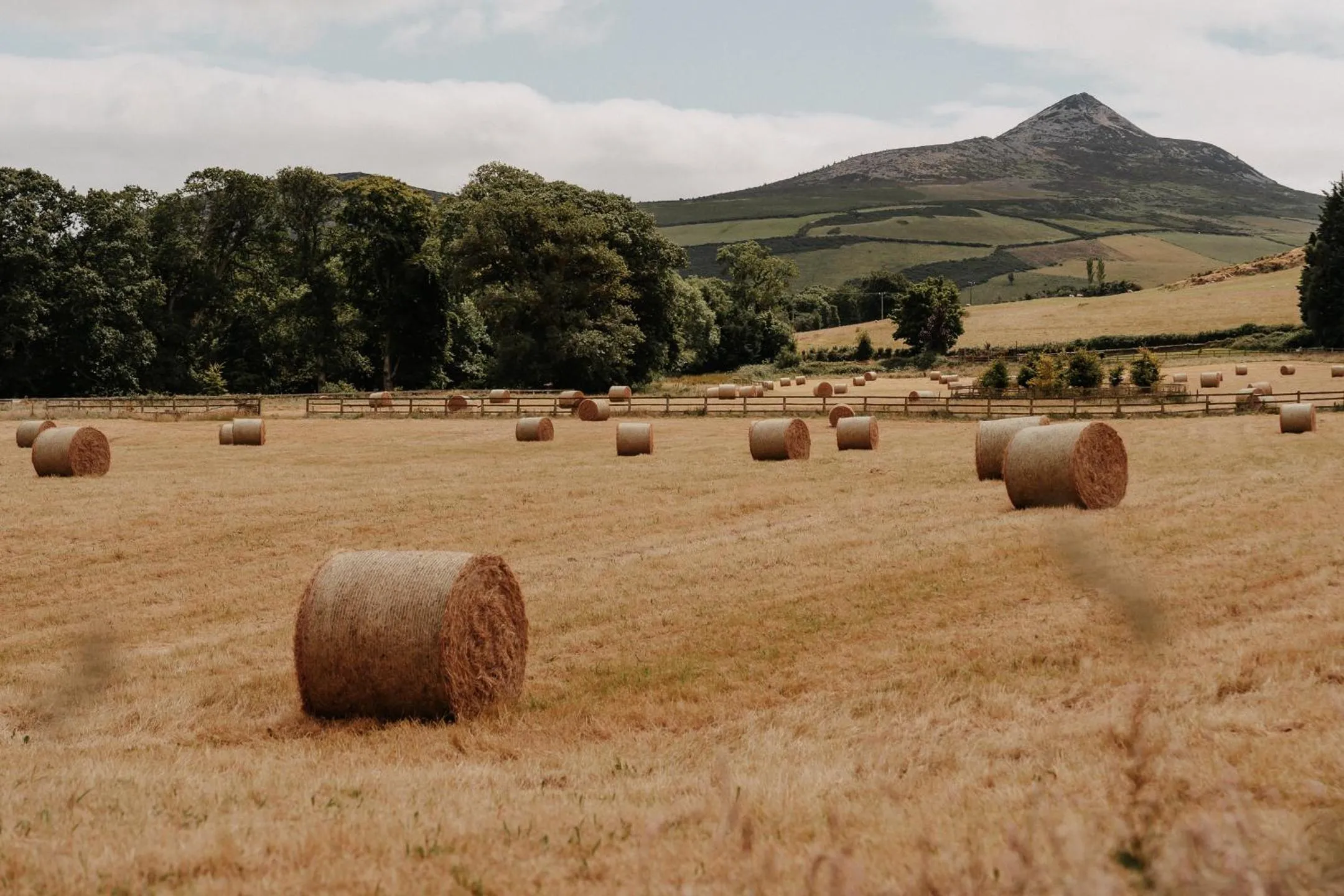 View (from property/room) in Powerscourt Springs Health Farm