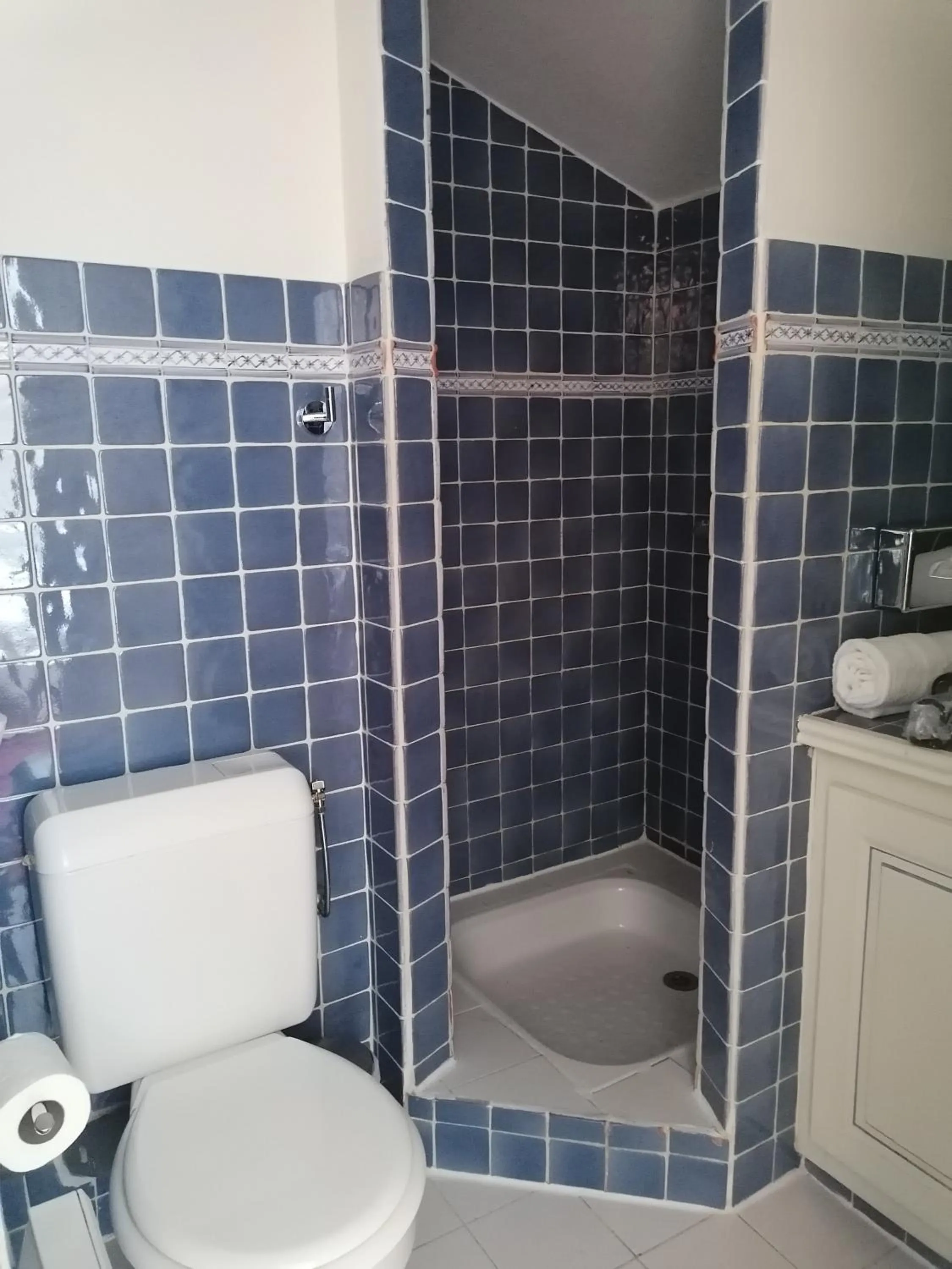 Toilet in Hôtel l'Arena