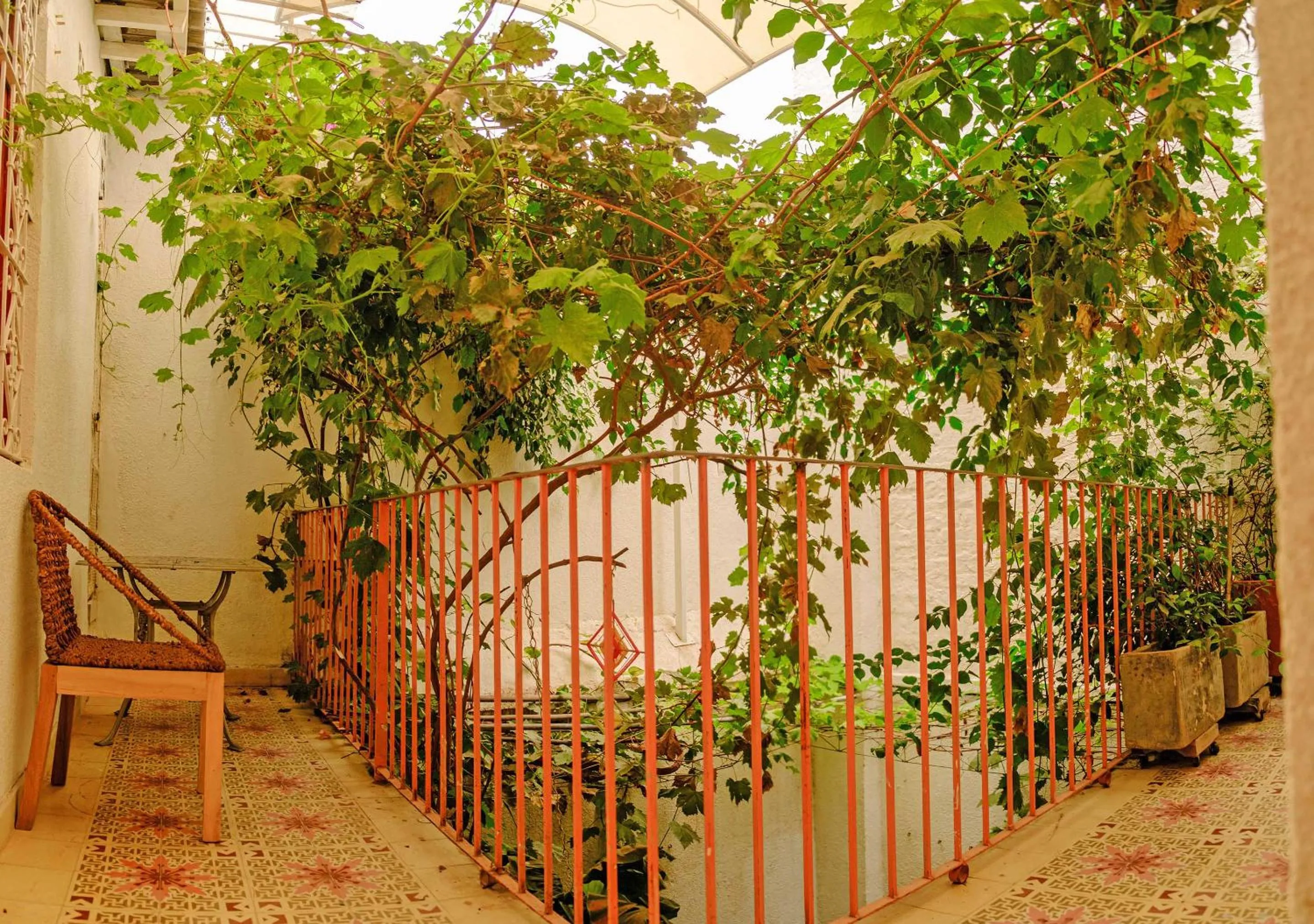 Garden view in Casa Rosa - Alma Hotels