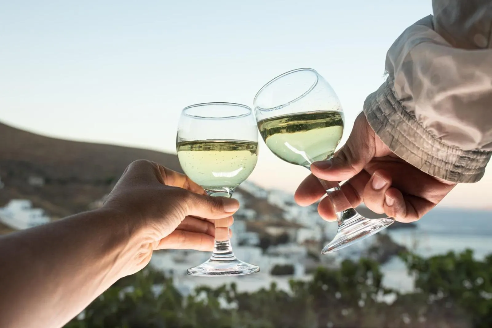 Balcony/Terrace in Primrose Apartments