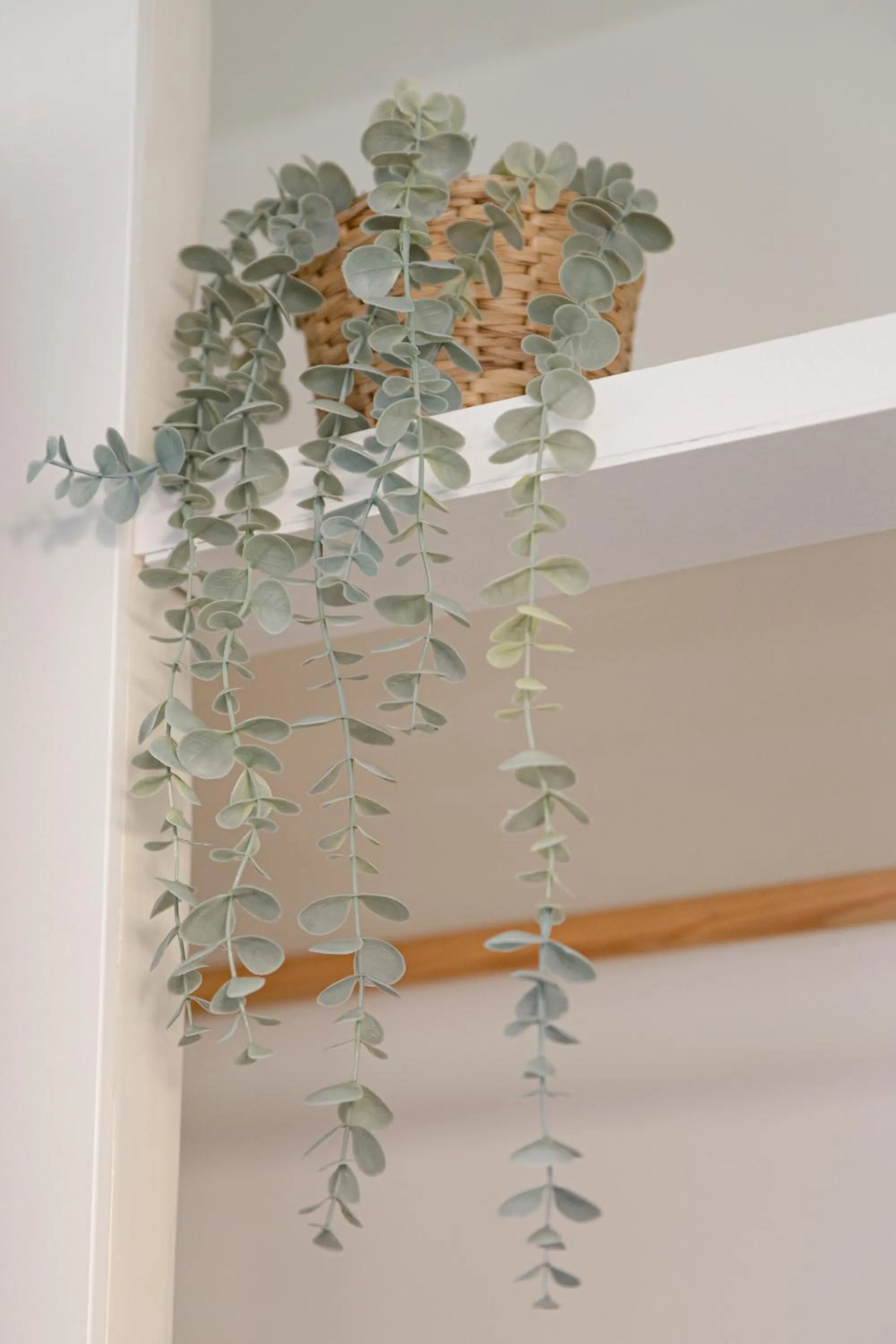 SUPERTUBOS HOUSE Peniche