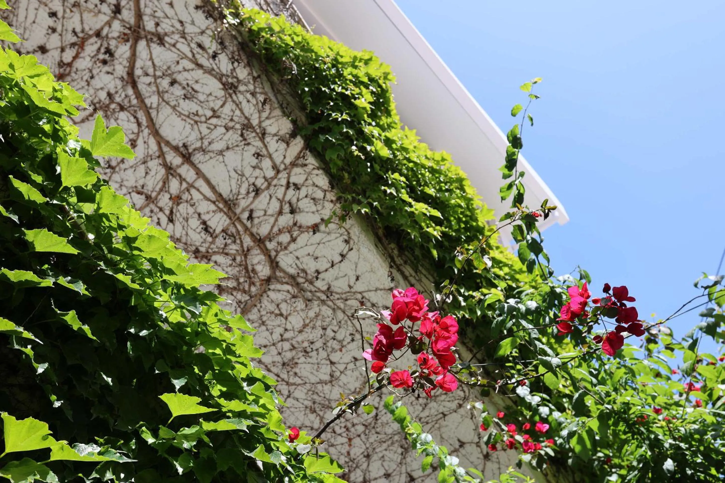 Olympic Kosmas Hotel- Hanioti