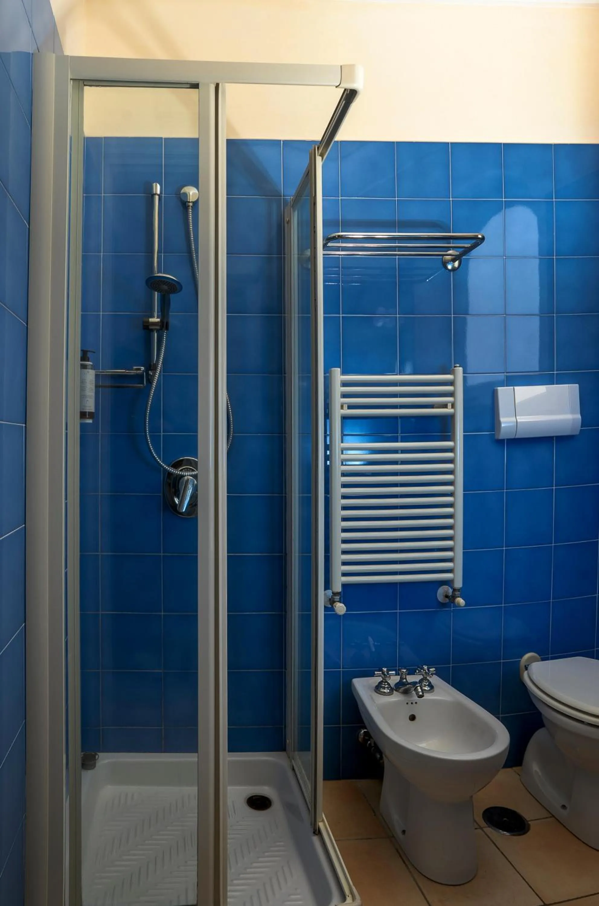 Shower in Hotel Senaria