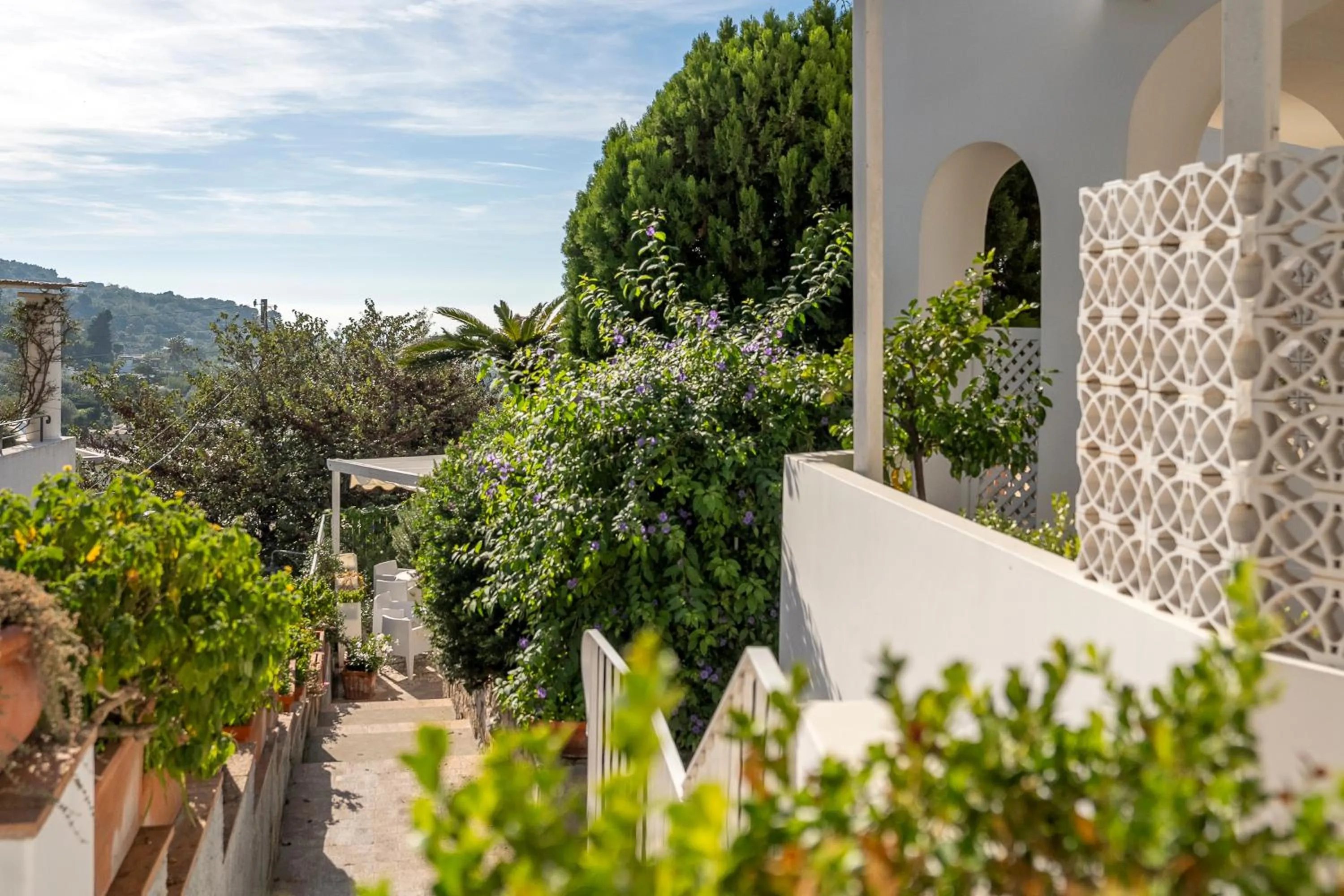 Property building in Hotel Senaria